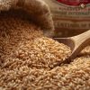 Rainger International – Indian brown rice, premium brown rice, Brown Rice Exporters in India, Brown Rice Exporters in Punjab, Brown Rice Exporters in Haryana, Brown Rice Exporters in Mumbai, Brown Rice Exporters in Gujarat, rainger ventures, rainger india, International trade, International Trade Company, International trade Company India, exporters from india, exporters from mumbai, exporters from pune, exporters from gujarat, exporters from kerala, export import company, import export company India, import export companies in India, import export company in Mumbai, import export company in Pune, import export company in Nagpur, import export company in Kerala, import export company in Delhi, import export companies in Aurangabad, import export company near me, import export company in Nashik, import export company in Ahmedabad, import export company in Delhi, import export company in Rajasthan, import export companies in Gujarat, export import company, export import company India, export import companies in India, export import company in Mumbai, export import company in Pune, export import company in Nagpur, export import company in Kerala, export import company in Delhi, export import companies in Aurangabad, export import company near me, export import company in Nashik, export import company in Delhi, export import company in Ahmedabad, export import company in Rajasthan, export import companies in Gujarat, global sourcing company chennai, global sourcing company mumbai, global sourcing company in india, international trading company, international trading company mumbai, international trading company in india, international trading company in delhi, international trading company in gujarat, international trading company in kerala, export company in India, export company in mumbai, export company in pune, import export business in india, import export business in mumbai, B2B global trade, B2B international trade, global trade company in india, global trade company in delhi, global trade company in mumbai, best sourcing company in India, product sourcing company in India, global sourcing company in India, international trade services in mumbai, import export consultancy services india, import export services in india, import export service provider in india, import export service provider, export import services India, global sourcing services, global sourcing companies in india, cross border trade services, global supply chain company, global supply chain companies in india, procurement companies India, top procurement company in India, export business India, export company India, international logistics and trade, B2B sourcing companies in india, B2B procurement company, wholesale export company in india, wholesale exporters in india, international trade company in India for export import, global sourcing company for B2B buyers, export import services company in India, cross border trade execution services, international sourcing and procurement company, reliable export company from India, B2B import export solutions provider, global supplier sourcing company India, international trade partner for importers, structured international trade company, international trade, export import, global sourcing, B2B trade, sourcing India, cross border trade, international business – RaingerInternational.com