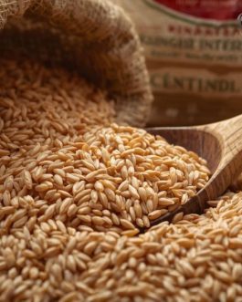 Naturally Grown Premium Brown Rice from India – Wellness Super Food | per KG | Rainger International