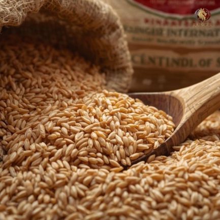 Rainger International – Indian brown rice, premium brown rice, Brown Rice Exporters in India, Brown Rice Exporters in Punjab, Brown Rice Exporters in Haryana, Brown Rice Exporters in Mumbai, Brown Rice Exporters in Gujarat, rainger ventures, rainger india, International trade, International Trade Company, International trade Company India, exporters from india, exporters from mumbai, exporters from pune, exporters from gujarat, exporters from kerala, export import company, import export company India, import export companies in India, import export company in Mumbai, import export company in Pune, import export company in Nagpur, import export company in Kerala, import export company in Delhi, import export companies in Aurangabad, import export company near me, import export company in Nashik, import export company in Ahmedabad, import export company in Delhi, import export company in Rajasthan, import export companies in Gujarat, export import company, export import company India, export import companies in India, export import company in Mumbai, export import company in Pune, export import company in Nagpur, export import company in Kerala, export import company in Delhi, export import companies in Aurangabad, export import company near me, export import company in Nashik, export import company in Delhi, export import company in Ahmedabad, export import company in Rajasthan, export import companies in Gujarat, global sourcing company chennai, global sourcing company mumbai, global sourcing company in india, international trading company, international trading company mumbai, international trading company in india, international trading company in delhi, international trading company in gujarat, international trading company in kerala, export company in India, export company in mumbai, export company in pune, import export business in india, import export business in mumbai, B2B global trade, B2B international trade, global trade company in india, global trade company in delhi, global trade company in mumbai, best sourcing company in India, product sourcing company in India, global sourcing company in India, international trade services in mumbai, import export consultancy services india, import export services in india, import export service provider in india, import export service provider, export import services India, global sourcing services, global sourcing companies in india, cross border trade services, global supply chain company, global supply chain companies in india, procurement companies India, top procurement company in India, export business India, export company India, international logistics and trade, B2B sourcing companies in india, B2B procurement company, wholesale export company in india, wholesale exporters in india, international trade company in India for export import, global sourcing company for B2B buyers, export import services company in India, cross border trade execution services, international sourcing and procurement company, reliable export company from India, B2B import export solutions provider, global supplier sourcing company India, international trade partner for importers, structured international trade company, international trade, export import, global sourcing, B2B trade, sourcing India, cross border trade, international business – RaingerInternational.com