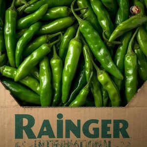 Rainger International – guntur sannam green chilli, green chilli exporters in india, green chilli exporters in mumbai, green chilli exporters in navi mumbai, green chilli exporters in thane, green chilli exporters in mumbai maharashtra, green chilli exporters in nashik, green chilli exporters in gujarat, green chilli exporters in guntur, green chilli exporters in rajasthan, green chilli exporters from india, green chilli exporters from mumbai, green chilli exporters from navi mumbai, green chilli exporters from thane, green chilli exporters from mumbai maharashtra, green chilli exporters from nashik, green chilli exporters from gujarat, green chilli exporters from guntur, green chilli exporters from rajasthan, rainger ventures, rainger india, International trade, International Trade Company, International trade Company India, exporters from india, exporters from mumbai, exporters from pune, exporters from gujarat, exporters from kerala, export import company, import export company India, import export companies in India, import export company in Mumbai, import export company in Pune, import export company in Nagpur, import export company in Kerala, import export company in Delhi, import export companies in Aurangabad, import export company near me, import export company in Nashik, import export company in Ahmedabad, import export company in Delhi, import export company in Rajasthan, import export companies in Gujarat, export import company, export import company India, export import companies in India, export import company in Mumbai, export import company in Pune, export import company in Nagpur, export import company in Kerala, export import company in Delhi, export import companies in Aurangabad, export import company near me, export import company in Nashik, export import company in Delhi, export import company in Ahmedabad, export import company in Rajasthan, export import companies in Gujarat, global sourcing company chennai, global sourcing company mumbai, global sourcing company in india, international trading company, international trading company mumbai, international trading company in india, international trading company in delhi, international trading company in gujarat, international trading company in kerala, export company in India, export company in mumbai, export company in pune, import export business in india, import export business in mumbai, B2B global trade, B2B international trade, global trade company in india, global trade company in delhi, global trade company in mumbai, best sourcing company in India, product sourcing company in India, global sourcing company in India, international trade services in mumbai, import export consultancy services india, import export services in india, import export service provider in india, import export service provider, export import services India, global sourcing services, global sourcing companies in india, cross border trade services, global supply chain company, global supply chain companies in india, procurement companies India, top procurement company in India, export business India, export company India, international logistics and trade, B2B sourcing companies in india, B2B procurement company, wholesale export company in india, wholesale exporters in india, international trade company in India for export import, global sourcing company for B2B buyers, export import services company in India, cross border trade execution services, international sourcing and procurement company, reliable export company from India, B2B import export solutions provider, global supplier sourcing company India, international trade partner for importers, structured international trade company, international trade, export import, global sourcing, B2B trade, sourcing India, cross border trade, international business – RaingerInternational.com