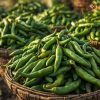 Rainger International – guntur sannam green chilli, green chilli exporters in india, green chilli exporters in mumbai, green chilli exporters in navi mumbai, green chilli exporters in thane, green chilli exporters in mumbai maharashtra, green chilli exporters in nashik, green chilli exporters in gujarat, green chilli exporters in guntur, green chilli exporters in rajasthan, green chilli exporters from india, green chilli exporters from mumbai, green chilli exporters from navi mumbai, green chilli exporters from thane, green chilli exporters from mumbai maharashtra, green chilli exporters from nashik, green chilli exporters from gujarat, green chilli exporters from guntur, green chilli exporters from rajasthan, rainger ventures, rainger india, International trade, International Trade Company, International trade Company India, exporters from india, exporters from mumbai, exporters from pune, exporters from gujarat, exporters from kerala, export import company, import export company India, import export companies in India, import export company in Mumbai, import export company in Pune, import export company in Nagpur, import export company in Kerala, import export company in Delhi, import export companies in Aurangabad, import export company near me, import export company in Nashik, import export company in Ahmedabad, import export company in Delhi, import export company in Rajasthan, import export companies in Gujarat, export import company, export import company India, export import companies in India, export import company in Mumbai, export import company in Pune, export import company in Nagpur, export import company in Kerala, export import company in Delhi, export import companies in Aurangabad, export import company near me, export import company in Nashik, export import company in Delhi, export import company in Ahmedabad, export import company in Rajasthan, export import companies in Gujarat, global sourcing company chennai, global sourcing company mumbai, global sourcing company in india, international trading company, international trading company mumbai, international trading company in india, international trading company in delhi, international trading company in gujarat, international trading company in kerala, export company in India, export company in mumbai, export company in pune, import export business in india, import export business in mumbai, B2B global trade, B2B international trade, global trade company in india, global trade company in delhi, global trade company in mumbai, best sourcing company in India, product sourcing company in India, global sourcing company in India, international trade services in mumbai, import export consultancy services india, import export services in india, import export service provider in india, import export service provider, export import services India, global sourcing services, global sourcing companies in india, cross border trade services, global supply chain company, global supply chain companies in india, procurement companies India, top procurement company in India, export business India, export company India, international logistics and trade, B2B sourcing companies in india, B2B procurement company, wholesale export company in india, wholesale exporters in india, international trade company in India for export import, global sourcing company for B2B buyers, export import services company in India, cross border trade execution services, international sourcing and procurement company, reliable export company from India, B2B import export solutions provider, global supplier sourcing company India, international trade partner for importers, structured international trade company, international trade, export import, global sourcing, B2B trade, sourcing India, cross border trade, international business – RaingerInternational.com