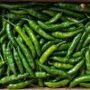Rainger International – guntur sannam green chilli, green chilli exporters in india, green chilli exporters in mumbai, green chilli exporters in navi mumbai, green chilli exporters in thane, green chilli exporters in mumbai maharashtra, green chilli exporters in nashik, green chilli exporters in gujarat, green chilli exporters in guntur, green chilli exporters in rajasthan, green chilli exporters from india, green chilli exporters from mumbai, green chilli exporters from navi mumbai, green chilli exporters from thane, green chilli exporters from mumbai maharashtra, green chilli exporters from nashik, green chilli exporters from gujarat, green chilli exporters from guntur, green chilli exporters from rajasthan, rainger ventures, rainger india, International trade, International Trade Company, International trade Company India, exporters from india, exporters from mumbai, exporters from pune, exporters from gujarat, exporters from kerala, export import company, import export company India, import export companies in India, import export company in Mumbai, import export company in Pune, import export company in Nagpur, import export company in Kerala, import export company in Delhi, import export companies in Aurangabad, import export company near me, import export company in Nashik, import export company in Ahmedabad, import export company in Delhi, import export company in Rajasthan, import export companies in Gujarat, export import company, export import company India, export import companies in India, export import company in Mumbai, export import company in Pune, export import company in Nagpur, export import company in Kerala, export import company in Delhi, export import companies in Aurangabad, export import company near me, export import company in Nashik, export import company in Delhi, export import company in Ahmedabad, export import company in Rajasthan, export import companies in Gujarat, global sourcing company chennai, global sourcing company mumbai, global sourcing company in india, international trading company, international trading company mumbai, international trading company in india, international trading company in delhi, international trading company in gujarat, international trading company in kerala, export company in India, export company in mumbai, export company in pune, import export business in india, import export business in mumbai, B2B global trade, B2B international trade, global trade company in india, global trade company in delhi, global trade company in mumbai, best sourcing company in India, product sourcing company in India, global sourcing company in India, international trade services in mumbai, import export consultancy services india, import export services in india, import export service provider in india, import export service provider, export import services India, global sourcing services, global sourcing companies in india, cross border trade services, global supply chain company, global supply chain companies in india, procurement companies India, top procurement company in India, export business India, export company India, international logistics and trade, B2B sourcing companies in india, B2B procurement company, wholesale export company in india, wholesale exporters in india, international trade company in India for export import, global sourcing company for B2B buyers, export import services company in India, cross border trade execution services, international sourcing and procurement company, reliable export company from India, B2B import export solutions provider, global supplier sourcing company India, international trade partner for importers, structured international trade company, international trade, export import, global sourcing, B2B trade, sourcing India, cross border trade, international business – RaingerInternational.com