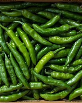 Premium Guntur Sannam Green Chilli – Fresh G4 Variety – Export Quality | per KG | Rainger International