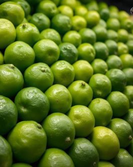 Export Quality Fresh Green Kagzi Lemon from Karnataka India | 10 kg Box | Rainger International