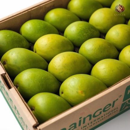 Rainger International – alphonso mango, ratnagiri alphonso mango, Alphonso Mango Exporters in mumbai, Alphonso Mango Exporters in India, ratnagiri alphonso mangoes, alphonso mangoes from India, indian alphonso mango, alphonso mango exporters from India, alphonso mango exporters in India, alphonso mango exporters in mumbai, alphonso mango exporters from mumbai, alphonso mango exporters from ratnagiri, alphonso mango exporters in ratnairi, mango exporters in India, mango exporters in mumbai, mango exporters in pune, mango exporters in andra pradesh, mango exporters in gujarat, mango exporters in hyderabad, rainger ventures, rainger india, International trade, International Trade Company, International trade Company India, exporters from india, exporters from mumbai, exporters from pune, exporters from gujarat, exporters from kerala, export import company, import export company India, import export companies in India, import export company in Mumbai, import export company in Pune, import export company in Nagpur, import export company in Kerala, import export company in Delhi, import export companies in Aurangabad, import export company near me, import export company in Nashik, import export company in Ahmedabad, import export company in Delhi, import export company in Rajasthan, import export companies in Gujarat, export import company, export import company India, export import companies in India, export import company in Mumbai, export import company in Pune, export import company in Nagpur, export import company in Kerala, export import company in Delhi, export import companies in Aurangabad, export import company near me, export import company in Nashik, export import company in Delhi, export import company in Ahmedabad, export import company in Rajasthan, export import companies in Gujarat, global sourcing company chennai, global sourcing company mumbai, global sourcing company in india, international trading company, international trading company mumbai, international trading company in india, international trading company in delhi, international trading company in gujarat, international trading company in kerala, export company in India, export company in mumbai, export company in pune, import export business in india, import export business in mumbai, B2B global trade, B2B international trade, global trade company in india, global trade company in delhi, global trade company in mumbai, best sourcing company in India, product sourcing company in India, global sourcing company in India, international trade services in mumbai, import export consultancy services india, import export services in india, import export service provider in india, import export service provider, export import services India, global sourcing services, global sourcing companies in india, cross border trade services, global supply chain company, global supply chain companies in india, procurement companies India, top procurement company in India, export business India, export company India, international logistics and trade, B2B sourcing companies in india, B2B procurement company, wholesale export company in india, wholesale exporters in india, international trade company in India for export import, global sourcing company for B2B buyers, export import services company in India, cross border trade execution services, international sourcing and procurement company, reliable export company from India, B2B import export solutions provider, global supplier sourcing company India, international trade partner for importers, structured international trade company, international trade, export import, global sourcing, B2B trade, sourcing India, cross border trade, international business – RaingerInternational.com