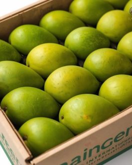Export Quality Ratnagiri Alphonso Mango from India – Premium GI Tagged | 5KG Box | Rainger International