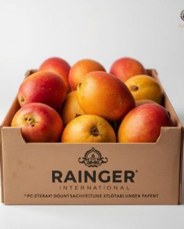 Export Quality Alphonso Mangoes from India – Ratnagiri Hapus | per KG | Rainger International