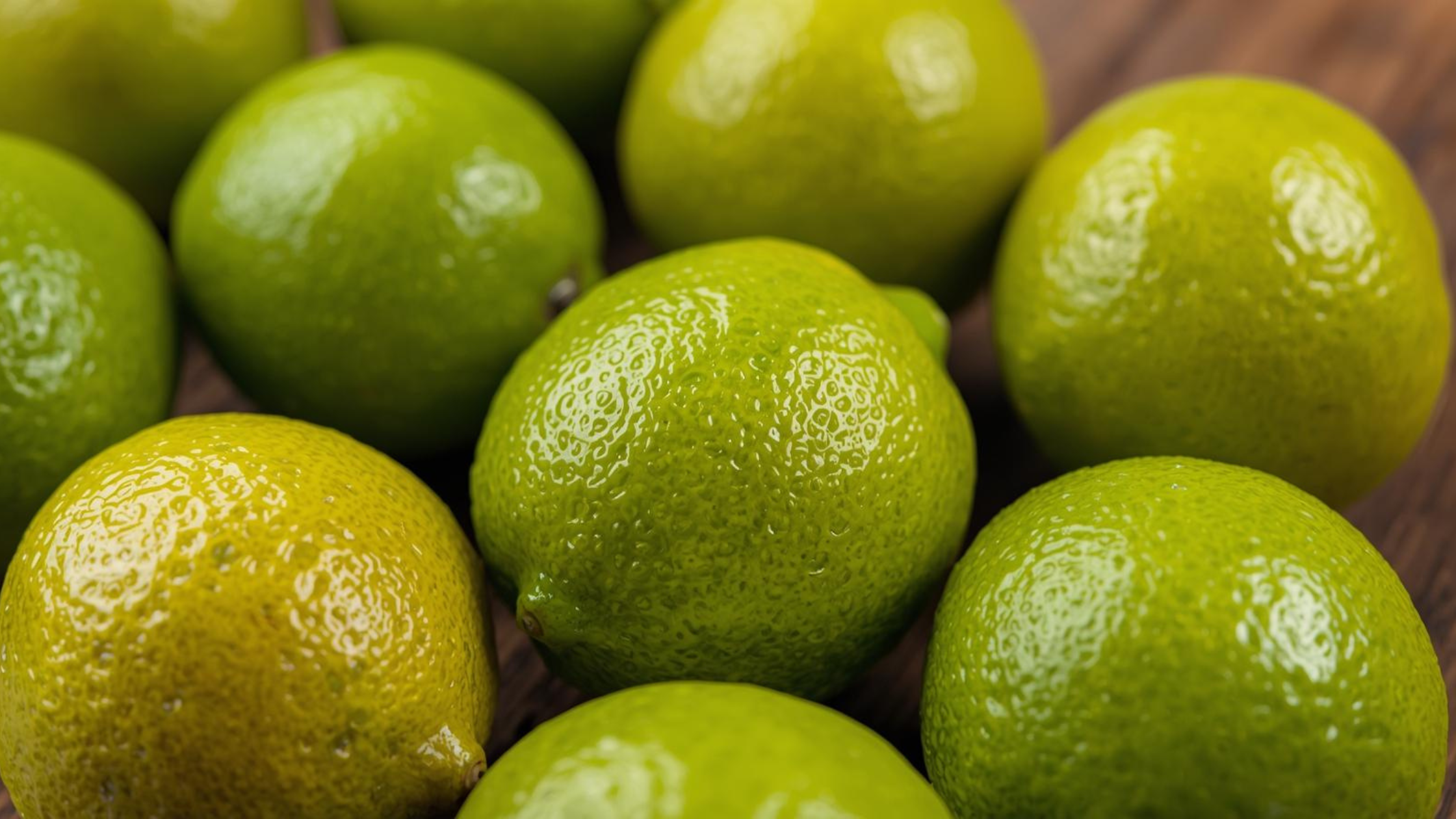 Rainger International – fresh green kagzi lemon, fresh green lemon, fresh green lemon exporters, fresh green lemon exporters in india, fresh green lemon exporter in gujarat, fresh green lemon exporters in tamilnadu, indian vegetable exporters, best quality fresh vegetables, farm fresh vegetables, vegetables exporters in india, vegetables exporters in mumbai, vegetables exporters in pune, vegetables exporters in nashik, International trade, International Trade Company, International trade Company India, exporters from india, exporters from mumbai, exporters from pune, exporters from gujarat, exporters from kerala, export import company, import export company India, import export companies in India, import export company in Mumbai, import export company in Pune, import export company in Nagpur, import export company in Kerala, import export company in Delhi, import export companies in Aurangabad, import export company near me, import export company in Nashik, import export company in Ahmedabad, import export company in Delhi, import export company in Rajasthan, import export companies in Gujarat, export import company, export import company India, export import companies in India, export import company in Mumbai, export import company in Pune, export import company in Nagpur, export import company in Kerala, export import company in Delhi, export import companies in Aurangabad, export import company near me, export import company in Nashik, export import company in Delhi, export import company in Ahmedabad, export import company in Rajasthan, export import companies in Gujarat, global sourcing company chennai, global sourcing company mumbai, global sourcing company in india, international trading company, international trading company mumbai, international trading company in india, international trading company in delhi, international trading company in gujarat, international trading company in kerala, export company in India, export company in mumbai, export company in pune, import export business in india, import export business in mumbai, B2B global trade, B2B international trade, global trade company in india, global trade company in delhi, global trade company in mumbai, best sourcing company in India, product sourcing company in India, global sourcing company in India, international trade services in mumbai, import export consultancy services india, import export services in india, import export service provider in india, import export service provider, export import services India, global sourcing services, global sourcing companies in india, cross border trade services, global supply chain company, global supply chain companies in india, procurement companies India, top procurement company in India, export business India, export company India, international logistics and trade, B2B sourcing companies in india, B2B procurement company, wholesale export company in india, wholesale exporters in india, international trade company in India for export import, global sourcing company for B2B buyers, export import services company in India, cross border trade execution services, international sourcing and procurement company, reliable export company from India, B2B import export solutions provider, global supplier sourcing company India, international trade partner for importers, structured international trade company, international trade, export import, global sourcing, B2B trade, sourcing India, cross border trade, international business – RaingerInternational.com