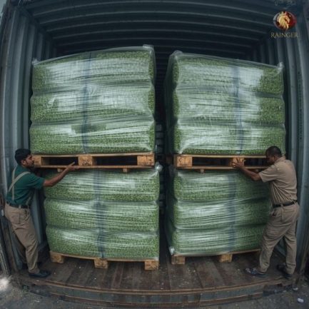 Rainger International – extra bold green cardamom, Alleppey Green Extra Bold Cardamom, AGEB Cardamom Exporters, Cardamom Exporters in india, Cardamom Exporters in kerala, Green Cardamom Exporters in india, Green Cardamom Exporters in kerala, International Trade, International Trade Company, International Trade Company India, exporters from india, exporters from mumbai, exporters from pune, exporters from gujarat, exporters from kerala, export import company, import export company India, import export companies in India, import export company in Mumbai, import export company in Pune, import export company in Nagpur, import export company in Kerala, import export company in Delhi, import export companies in Aurangabad, import export company near me, import export company in Nashik, import export company in Ahmedabad, import export company in Delhi, import export company in Rajasthan, import export companies in Gujarat, export import company, export import company India, export import companies in India, export import company in Mumbai, export import company in Pune, export import company in Nagpur, export import company in Kerala, export import company in Delhi, export import companies in Aurangabad, export import company near me, export import company in Nashik, export import company in Delhi, export import company in Ahmedabad, export import company in Rajasthan, export import companies in Gujarat, global sourcing company chennai, global sourcing company mumbai, global sourcing company in india, international trading company, international trading company mumbai, international trading company in india, international trading company in delhi, international trading company in gujarat, international trading company in kerala, export company in India, export company in mumbai, export company in pune, import export business in india, import export business in mumbai, B2B global trade, B2B international trade, global trade company in india, global trade company in delhi, global trade company in mumbai, best sourcing company in India, product sourcing company in India, global sourcing company in India, international trade services in mumbai, import export consultancy services india, import export services in india, import export service provider in india, import export service provider, export import services India, global sourcing services, global sourcing companies in india, cross border trade services, global supply chain company, global supply chain companies in india, procurement companies India, top procurement company in India, export business India, export company India, international logistics and trade, B2B sourcing companies in india, B2B procurement company, wholesale export company in india, wholesale exporters in india, international trade company in India for export import, global sourcing company for B2B buyers, export import services company in India, cross border trade execution services, international sourcing and procurement company, reliable export company from India, B2B import export solutions provider, global supplier sourcing company India, international trade partner for importers, structured international trade company, international trade, export import, global sourcing, B2B trade, sourcing India, cross border trade, international business – RaingerInternational.com