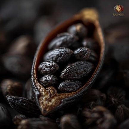Rainger International – indian black cardamom, Indian Black Cardamom Exporters, Cardamom Exporters in india, Cardamom Exporters in kerala, Black Cardamom Exporters in india, Black Cardamom Exporters in kerala, International Trade, International Trade Company, International Trade Company India, exporters from india, exporters from mumbai, exporters from pune, exporters from gujarat, exporters from kerala, export import company, import export company India, import export companies in India, import export company in Mumbai, import export company in Pune, import export company in Nagpur, import export company in Kerala, import export company in Delhi, import export companies in Aurangabad, import export company near me, import export company in Nashik, import export company in Ahmedabad, import export company in Delhi, import export company in Rajasthan, import export companies in Gujarat, export import company, export import company India, export import companies in India, export import company in Mumbai, export import company in Pune, export import company in Nagpur, export import company in Kerala, export import company in Delhi, export import companies in Aurangabad, export import company near me, export import company in Nashik, export import company in Delhi, export import company in Ahmedabad, export import company in Rajasthan, export import companies in Gujarat, global sourcing company chennai, global sourcing company mumbai, global sourcing company in india, international trading company, international trading company mumbai, international trading company in india, international trading company in delhi, international trading company in gujarat, international trading company in kerala, export company in India, export company in mumbai, export company in pune, import export business in india, import export business in mumbai, B2B global trade, B2B international trade, global trade company in india, global trade company in delhi, global trade company in mumbai, best sourcing company in India, product sourcing company in India, global sourcing company in India, international trade services in mumbai, import export consultancy services india, import export services in india, import export service provider in india, import export service provider, export import services India, global sourcing services, global sourcing companies in india, cross border trade services, global supply chain company, global supply chain companies in india, procurement companies India, top procurement company in India, export business India, export company India, international logistics and trade, B2B sourcing companies in india, B2B procurement company, wholesale export company in india, wholesale exporters in india, international trade company in India for export import, global sourcing company for B2B buyers, export import services company in India, cross border trade execution services, international sourcing and procurement company, reliable export company from India, B2B import export solutions provider, global supplier sourcing company India, international trade partner for importers, structured international trade company, international trade, export import, global sourcing, B2B trade, sourcing India, cross border trade, international business – RaingerInternational.com