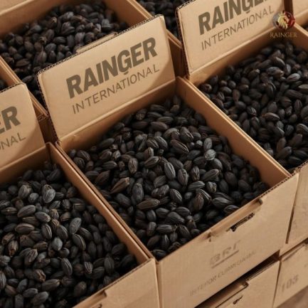 Rainger International – indian black cardamom, Indian Black Cardamom Exporters, Cardamom Exporters in india, Cardamom Exporters in kerala, Black Cardamom Exporters in india, Black Cardamom Exporters in kerala, International Trade, International Trade Company, International Trade Company India, exporters from india, exporters from mumbai, exporters from pune, exporters from gujarat, exporters from kerala, export import company, import export company India, import export companies in India, import export company in Mumbai, import export company in Pune, import export company in Nagpur, import export company in Kerala, import export company in Delhi, import export companies in Aurangabad, import export company near me, import export company in Nashik, import export company in Ahmedabad, import export company in Delhi, import export company in Rajasthan, import export companies in Gujarat, export import company, export import company India, export import companies in India, export import company in Mumbai, export import company in Pune, export import company in Nagpur, export import company in Kerala, export import company in Delhi, export import companies in Aurangabad, export import company near me, export import company in Nashik, export import company in Delhi, export import company in Ahmedabad, export import company in Rajasthan, export import companies in Gujarat, global sourcing company chennai, global sourcing company mumbai, global sourcing company in india, international trading company, international trading company mumbai, international trading company in india, international trading company in delhi, international trading company in gujarat, international trading company in kerala, export company in India, export company in mumbai, export company in pune, import export business in india, import export business in mumbai, B2B global trade, B2B international trade, global trade company in india, global trade company in delhi, global trade company in mumbai, best sourcing company in India, product sourcing company in India, global sourcing company in India, international trade services in mumbai, import export consultancy services india, import export services in india, import export service provider in india, import export service provider, export import services India, global sourcing services, global sourcing companies in india, cross border trade services, global supply chain company, global supply chain companies in india, procurement companies India, top procurement company in India, export business India, export company India, international logistics and trade, B2B sourcing companies in india, B2B procurement company, wholesale export company in india, wholesale exporters in india, international trade company in India for export import, global sourcing company for B2B buyers, export import services company in India, cross border trade execution services, international sourcing and procurement company, reliable export company from India, B2B import export solutions provider, global supplier sourcing company India, international trade partner for importers, structured international trade company, international trade, export import, global sourcing, B2B trade, sourcing India, cross border trade, international business – RaingerInternational.com