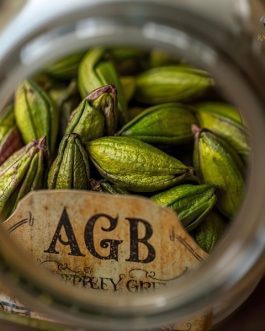 Rainger International – alleppey green bold, Alleppey Green Bold Cardamom, AGB Cardamom Exporters, Cardamom Exporters in india, Cardamom Exporters in kerala, Green Cardamom Exporters in india, Green Cardamom Exporters in kerala, International Trade, International Trade Company, International Trade Company India, exporters from india, exporters from mumbai, exporters from pune, exporters from gujarat, exporters from kerala, export import company, import export company India, import export companies in India, import export company in Mumbai, import export company in Pune, import export company in Nagpur, import export company in Kerala, import export company in Delhi, import export companies in Aurangabad, import export company near me, import export company in Nashik, import export company in Ahmedabad, import export company in Delhi, import export company in Rajasthan, import export companies in Gujarat, export import company, export import company India, export import companies in India, export import company in Mumbai, export import company in Pune, export import company in Nagpur, export import company in Kerala, export import company in Delhi, export import companies in Aurangabad, export import company near me, export import company in Nashik, export import company in Delhi, export import company in Ahmedabad, export import company in Rajasthan, export import companies in Gujarat, global sourcing company chennai, global sourcing company mumbai, global sourcing company in india, international trading company, international trading company mumbai, international trading company in india, international trading company in delhi, international trading company in gujarat, international trading company in kerala, export company in India, export company in mumbai, export company in pune, import export business in india, import export business in mumbai, B2B global trade, B2B international trade, global trade company in india, global trade company in delhi, global trade company in mumbai, best sourcing company in India, product sourcing company in India, global sourcing company in India, international trade services in mumbai, import export consultancy services india, import export services in india, import export service provider in india, import export service provider, export import services India, global sourcing services, global sourcing companies in india, cross border trade services, global supply chain company, global supply chain companies in india, procurement companies India, top procurement company in India, export business India, export company India, international logistics and trade, B2B sourcing companies in india, B2B procurement company, wholesale export company in india, wholesale exporters in india, international trade company in India for export import, global sourcing company for B2B buyers, export import services company in India, cross border trade execution services, international sourcing and procurement company, reliable export company from India, B2B import export solutions provider, global supplier sourcing company India, international trade partner for importers, structured international trade company, international trade, export import, global sourcing, B2B trade, sourcing India, cross border trade, international business – RaingerInternational.com
