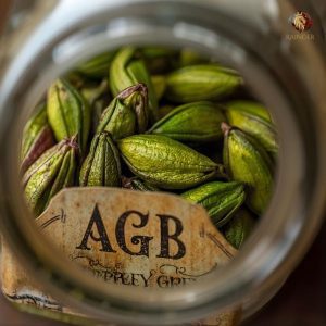 Rainger International – alleppey green bold, Alleppey Green Bold Cardamom, AGB Cardamom Exporters, Cardamom Exporters in india, Cardamom Exporters in kerala, Green Cardamom Exporters in india, Green Cardamom Exporters in kerala, International Trade, International Trade Company, International Trade Company India, exporters from india, exporters from mumbai, exporters from pune, exporters from gujarat, exporters from kerala, export import company, import export company India, import export companies in India, import export company in Mumbai, import export company in Pune, import export company in Nagpur, import export company in Kerala, import export company in Delhi, import export companies in Aurangabad, import export company near me, import export company in Nashik, import export company in Ahmedabad, import export company in Delhi, import export company in Rajasthan, import export companies in Gujarat, export import company, export import company India, export import companies in India, export import company in Mumbai, export import company in Pune, export import company in Nagpur, export import company in Kerala, export import company in Delhi, export import companies in Aurangabad, export import company near me, export import company in Nashik, export import company in Delhi, export import company in Ahmedabad, export import company in Rajasthan, export import companies in Gujarat, global sourcing company chennai, global sourcing company mumbai, global sourcing company in india, international trading company, international trading company mumbai, international trading company in india, international trading company in delhi, international trading company in gujarat, international trading company in kerala, export company in India, export company in mumbai, export company in pune, import export business in india, import export business in mumbai, B2B global trade, B2B international trade, global trade company in india, global trade company in delhi, global trade company in mumbai, best sourcing company in India, product sourcing company in India, global sourcing company in India, international trade services in mumbai, import export consultancy services india, import export services in india, import export service provider in india, import export service provider, export import services India, global sourcing services, global sourcing companies in india, cross border trade services, global supply chain company, global supply chain companies in india, procurement companies India, top procurement company in India, export business India, export company India, international logistics and trade, B2B sourcing companies in india, B2B procurement company, wholesale export company in india, wholesale exporters in india, international trade company in India for export import, global sourcing company for B2B buyers, export import services company in India, cross border trade execution services, international sourcing and procurement company, reliable export company from India, B2B import export solutions provider, global supplier sourcing company India, international trade partner for importers, structured international trade company, international trade, export import, global sourcing, B2B trade, sourcing India, cross border trade, international business – RaingerInternational.com