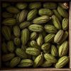 Rainger International – alleppey green bold, Alleppey Green Bold Cardamom, AGB Cardamom Exporters, Cardamom Exporters in india, Cardamom Exporters in kerala, Green Cardamom Exporters in india, Green Cardamom Exporters in kerala, International Trade, International Trade Company, International Trade Company India, exporters from india, exporters from mumbai, exporters from pune, exporters from gujarat, exporters from kerala, export import company, import export company India, import export companies in India, import export company in Mumbai, import export company in Pune, import export company in Nagpur, import export company in Kerala, import export company in Delhi, import export companies in Aurangabad, import export company near me, import export company in Nashik, import export company in Ahmedabad, import export company in Delhi, import export company in Rajasthan, import export companies in Gujarat, export import company, export import company India, export import companies in India, export import company in Mumbai, export import company in Pune, export import company in Nagpur, export import company in Kerala, export import company in Delhi, export import companies in Aurangabad, export import company near me, export import company in Nashik, export import company in Delhi, export import company in Ahmedabad, export import company in Rajasthan, export import companies in Gujarat, global sourcing company chennai, global sourcing company mumbai, global sourcing company in india, international trading company, international trading company mumbai, international trading company in india, international trading company in delhi, international trading company in gujarat, international trading company in kerala, export company in India, export company in mumbai, export company in pune, import export business in india, import export business in mumbai, B2B global trade, B2B international trade, global trade company in india, global trade company in delhi, global trade company in mumbai, best sourcing company in India, product sourcing company in India, global sourcing company in India, international trade services in mumbai, import export consultancy services india, import export services in india, import export service provider in india, import export service provider, export import services India, global sourcing services, global sourcing companies in india, cross border trade services, global supply chain company, global supply chain companies in india, procurement companies India, top procurement company in India, export business India, export company India, international logistics and trade, B2B sourcing companies in india, B2B procurement company, wholesale export company in india, wholesale exporters in india, international trade company in India for export import, global sourcing company for B2B buyers, export import services company in India, cross border trade execution services, international sourcing and procurement company, reliable export company from India, B2B import export solutions provider, global supplier sourcing company India, international trade partner for importers, structured international trade company, international trade, export import, global sourcing, B2B trade, sourcing India, cross border trade, international business – RaingerInternational.com