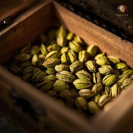 Rainger International – ags cardamom, Alleppey Green Superior Cardamom, AGS Cardamom Exporters, Cardamom Exporters in india, Cardamom Exporters in kerala, Green Cardamom Exporters in india, Green Cardamom Exporters in kerala, International Trade, International Trade Company, International Trade Company India, exporters from india, exporters from mumbai, exporters from pune, exporters from gujarat, exporters from kerala, export import company, import export company India, import export companies in India, import export company in Mumbai, import export company in Pune, import export company in Nagpur, import export company in Kerala, import export company in Delhi, import export companies in Aurangabad, import export company near me, import export company in Nashik, import export company in Ahmedabad, import export company in Delhi, import export company in Rajasthan, import export companies in Gujarat, export import company, export import company India, export import companies in India, export import company in Mumbai, export import company in Pune, export import company in Nagpur, export import company in Kerala, export import company in Delhi, export import companies in Aurangabad, export import company near me, export import company in Nashik, export import company in Delhi, export import company in Ahmedabad, export import company in Rajasthan, export import companies in Gujarat, global sourcing company chennai, global sourcing company mumbai, global sourcing company in india, international trading company, international trading company mumbai, international trading company in india, international trading company in delhi, international trading company in gujarat, international trading company in kerala, export company in India, export company in mumbai, export company in pune, import export business in india, import export business in mumbai, B2B global trade, B2B international trade, global trade company in india, global trade company in delhi, global trade company in mumbai, best sourcing company in India, product sourcing company in India, global sourcing company in India, international trade services in mumbai, import export consultancy services india, import export services in india, import export service provider in india, import export service provider, export import services India, global sourcing services, global sourcing companies in india, cross border trade services, global supply chain company, global supply chain companies in india, procurement companies India, top procurement company in India, export business India, export company India, international logistics and trade, B2B sourcing companies in india, B2B procurement company, wholesale export company in india, wholesale exporters in india, international trade company in India for export import, global sourcing company for B2B buyers, export import services company in India, cross border trade execution services, international sourcing and procurement company, reliable export company from India, B2B import export solutions provider, global supplier sourcing company India, international trade partner for importers, structured international trade company, international trade, export import, global sourcing, B2B trade, sourcing India, cross border trade, international business – RaingerInternational.com