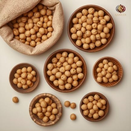 Rainger International – indian fox nuts, indian fox nut exporters, best quality fox nuts, best quality makhana in india, best quality makhana in bihar, fox nuts exporters in india, fox nuts exporters in bihar, best quality fox nuts from india, International trade, International Trade Company, International trade Company India, exporters from india, exporters from mumbai, exporters from pune, exporters from gujarat, exporters from kerala, export import company, import export company India, import export companies in India, import export company in Mumbai, import export company in Pune, import export company in Nagpur, import export company in Kerala, import export company in Delhi, import export companies in Aurangabad, import export company near me, import export company in Nashik, import export company in Ahmedabad, import export company in Delhi, import export company in Rajasthan, import export companies in Gujarat, export import company, export import company India, export import companies in India, export import company in Mumbai, export import company in Pune, export import company in Nagpur, export import company in Kerala, export import company in Delhi, export import companies in Aurangabad, export import company near me, export import company in Nashik, export import company in Delhi, export import company in Ahmedabad, export import company in Rajasthan, export import companies in Gujarat, global sourcing company chennai, global sourcing company mumbai, global sourcing company in india, international trading company, international trading company mumbai, international trading company in india, international trading company in delhi, international trading company in gujarat, international trading company in kerala, export company in India, export company in mumbai, export company in pune, import export business in india, import export business in mumbai, B2B global trade, B2B international trade, global trade company in india, global trade company in delhi, global trade company in mumbai, best sourcing company in India, product sourcing company in India, global sourcing company in India, international trade services in mumbai, import export consultancy services india, import export services in india, import export service provider in india, import export service provider, export import services India, global sourcing services, global sourcing companies in india, cross border trade services, global supply chain company, global supply chain companies in india, procurement companies India, top procurement company in India, export business India, export company India, international logistics and trade, B2B sourcing companies in india, B2B procurement company, wholesale export company in india, wholesale exporters in india, international trade company in India for export import, global sourcing company for B2B buyers, export import services company in India, cross border trade execution services, international sourcing and procurement company, reliable export company from India, B2B import export solutions provider, global supplier sourcing company India, international trade partner for importers, structured international trade company, international trade, export import, global sourcing, B2B trade, sourcing India, cross border trade, international business – RaingerInternational.com
