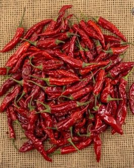 Rainger International – byadgi red chilli, red chilli exporters in india, red chilli exporters in mumbai, red chilli exporters in navi mumbai, red chilli exporters in thane, red chilli exporters in mumbai maharashtra, red chilli exporters in nashik, red chilli exporters in gujarat, red chilli exporters in guntur, red chilli exporters in rajasthan, red chilli exporters from india, red chilli exporters from mumbai, red chilli exporters from navi mumbai, red chilli exporters from thane, red chilli exporters from mumbai maharashtra, red chilli exporters from nashik, red chilli exporters from gujarat, red chilli exporters from guntur, red chilli exporters from rajasthan, rainger ventures, rainger india, International trade, International Trade Company, International trade Company India, exporters from india, exporters from mumbai, exporters from pune, exporters from gujarat, exporters from kerala, export import company, import export company India, import export companies in India, import export company in Mumbai, import export company in Pune, import export company in Nagpur, import export company in Kerala, import export company in Delhi, import export companies in Aurangabad, import export company near me, import export company in Nashik, import export company in Ahmedabad, import export company in Delhi, import export company in Rajasthan, import export companies in Gujarat, export import company, export import company India, export import companies in India, export import company in Mumbai, export import company in Pune, export import company in Nagpur, export import company in Kerala, export import company in Delhi, export import companies in Aurangabad, export import company near me, export import company in Nashik, export import company in Delhi, export import company in Ahmedabad, export import company in Rajasthan, export import companies in Gujarat, global sourcing company chennai, global sourcing company mumbai, global sourcing company in india, international trading company, international trading company mumbai, international trading company in india, international trading company in delhi, international trading company in gujarat, international trading company in kerala, export company in India, export company in mumbai, export company in pune, import export business in india, import export business in mumbai, B2B global trade, B2B international trade, global trade company in india, global trade company in delhi, global trade company in mumbai, best sourcing company in India, product sourcing company in India, global sourcing company in India, international trade services in mumbai, import export consultancy services india, import export services in india, import export service provider in india, import export service provider, export import services India, global sourcing services, global sourcing companies in india, cross border trade services, global supply chain company, global supply chain companies in india, procurement companies India, top procurement company in India, export business India, export company India, international logistics and trade, B2B sourcing companies in india, B2B procurement company, wholesale export company in india, wholesale exporters in india, international trade company in India for export import, global sourcing company for B2B buyers, export import services company in India, cross border trade execution services, international sourcing and procurement company, reliable export company from India, B2B import export solutions provider, global supplier sourcing company India, international trade partner for importers, structured international trade company, international trade, export import, global sourcing, B2B trade, sourcing India, cross border trade, international business – RaingerInternational.com
