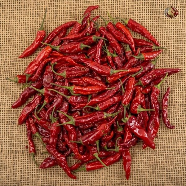 Rainger International – byadgi red chilli, red chilli exporters in india, red chilli exporters in mumbai, red chilli exporters in navi mumbai, red chilli exporters in thane, red chilli exporters in mumbai maharashtra, red chilli exporters in nashik, red chilli exporters in gujarat, red chilli exporters in guntur, red chilli exporters in rajasthan, red chilli exporters from india, red chilli exporters from mumbai, red chilli exporters from navi mumbai, red chilli exporters from thane, red chilli exporters from mumbai maharashtra, red chilli exporters from nashik, red chilli exporters from gujarat, red chilli exporters from guntur, red chilli exporters from rajasthan, rainger ventures, rainger india, International trade, International Trade Company, International trade Company India, exporters from india, exporters from mumbai, exporters from pune, exporters from gujarat, exporters from kerala, export import company, import export company India, import export companies in India, import export company in Mumbai, import export company in Pune, import export company in Nagpur, import export company in Kerala, import export company in Delhi, import export companies in Aurangabad, import export company near me, import export company in Nashik, import export company in Ahmedabad, import export company in Delhi, import export company in Rajasthan, import export companies in Gujarat, export import company, export import company India, export import companies in India, export import company in Mumbai, export import company in Pune, export import company in Nagpur, export import company in Kerala, export import company in Delhi, export import companies in Aurangabad, export import company near me, export import company in Nashik, export import company in Delhi, export import company in Ahmedabad, export import company in Rajasthan, export import companies in Gujarat, global sourcing company chennai, global sourcing company mumbai, global sourcing company in india, international trading company, international trading company mumbai, international trading company in india, international trading company in delhi, international trading company in gujarat, international trading company in kerala, export company in India, export company in mumbai, export company in pune, import export business in india, import export business in mumbai, B2B global trade, B2B international trade, global trade company in india, global trade company in delhi, global trade company in mumbai, best sourcing company in India, product sourcing company in India, global sourcing company in India, international trade services in mumbai, import export consultancy services india, import export services in india, import export service provider in india, import export service provider, export import services India, global sourcing services, global sourcing companies in india, cross border trade services, global supply chain company, global supply chain companies in india, procurement companies India, top procurement company in India, export business India, export company India, international logistics and trade, B2B sourcing companies in india, B2B procurement company, wholesale export company in india, wholesale exporters in india, international trade company in India for export import, global sourcing company for B2B buyers, export import services company in India, cross border trade execution services, international sourcing and procurement company, reliable export company from India, B2B import export solutions provider, global supplier sourcing company India, international trade partner for importers, structured international trade company, international trade, export import, global sourcing, B2B trade, sourcing India, cross border trade, international business – RaingerInternational.com