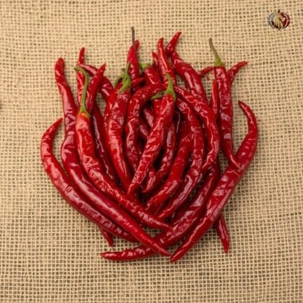 Rainger International – byadgi red chilli, red chilli exporters in india, red chilli exporters in mumbai, red chilli exporters in navi mumbai, red chilli exporters in thane, red chilli exporters in mumbai maharashtra, red chilli exporters in nashik, red chilli exporters in gujarat, red chilli exporters in guntur, red chilli exporters in rajasthan, red chilli exporters from india, red chilli exporters from mumbai, red chilli exporters from navi mumbai, red chilli exporters from thane, red chilli exporters from mumbai maharashtra, red chilli exporters from nashik, red chilli exporters from gujarat, red chilli exporters from guntur, red chilli exporters from rajasthan, rainger ventures, rainger india, International trade, International Trade Company, International trade Company India, exporters from india, exporters from mumbai, exporters from pune, exporters from gujarat, exporters from kerala, export import company, import export company India, import export companies in India, import export company in Mumbai, import export company in Pune, import export company in Nagpur, import export company in Kerala, import export company in Delhi, import export companies in Aurangabad, import export company near me, import export company in Nashik, import export company in Ahmedabad, import export company in Delhi, import export company in Rajasthan, import export companies in Gujarat, export import company, export import company India, export import companies in India, export import company in Mumbai, export import company in Pune, export import company in Nagpur, export import company in Kerala, export import company in Delhi, export import companies in Aurangabad, export import company near me, export import company in Nashik, export import company in Delhi, export import company in Ahmedabad, export import company in Rajasthan, export import companies in Gujarat, global sourcing company chennai, global sourcing company mumbai, global sourcing company in india, international trading company, international trading company mumbai, international trading company in india, international trading company in delhi, international trading company in gujarat, international trading company in kerala, export company in India, export company in mumbai, export company in pune, import export business in india, import export business in mumbai, B2B global trade, B2B international trade, global trade company in india, global trade company in delhi, global trade company in mumbai, best sourcing company in India, product sourcing company in India, global sourcing company in India, international trade services in mumbai, import export consultancy services india, import export services in india, import export service provider in india, import export service provider, export import services India, global sourcing services, global sourcing companies in india, cross border trade services, global supply chain company, global supply chain companies in india, procurement companies India, top procurement company in India, export business India, export company India, international logistics and trade, B2B sourcing companies in india, B2B procurement company, wholesale export company in india, wholesale exporters in india, international trade company in India for export import, global sourcing company for B2B buyers, export import services company in India, cross border trade execution services, international sourcing and procurement company, reliable export company from India, B2B import export solutions provider, global supplier sourcing company India, international trade partner for importers, structured international trade company, international trade, export import, global sourcing, B2B trade, sourcing India, cross border trade, international business – RaingerInternational.com