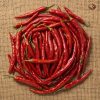 Rainger International – byadgi red chilli, red chilli exporters in india, red chilli exporters in mumbai, red chilli exporters in navi mumbai, red chilli exporters in thane, red chilli exporters in mumbai maharashtra, red chilli exporters in nashik, red chilli exporters in gujarat, red chilli exporters in guntur, red chilli exporters in rajasthan, red chilli exporters from india, red chilli exporters from mumbai, red chilli exporters from navi mumbai, red chilli exporters from thane, red chilli exporters from mumbai maharashtra, red chilli exporters from nashik, red chilli exporters from gujarat, red chilli exporters from guntur, red chilli exporters from rajasthan, rainger ventures, rainger india, International trade, International Trade Company, International trade Company India, exporters from india, exporters from mumbai, exporters from pune, exporters from gujarat, exporters from kerala, export import company, import export company India, import export companies in India, import export company in Mumbai, import export company in Pune, import export company in Nagpur, import export company in Kerala, import export company in Delhi, import export companies in Aurangabad, import export company near me, import export company in Nashik, import export company in Ahmedabad, import export company in Delhi, import export company in Rajasthan, import export companies in Gujarat, export import company, export import company India, export import companies in India, export import company in Mumbai, export import company in Pune, export import company in Nagpur, export import company in Kerala, export import company in Delhi, export import companies in Aurangabad, export import company near me, export import company in Nashik, export import company in Delhi, export import company in Ahmedabad, export import company in Rajasthan, export import companies in Gujarat, global sourcing company chennai, global sourcing company mumbai, global sourcing company in india, international trading company, international trading company mumbai, international trading company in india, international trading company in delhi, international trading company in gujarat, international trading company in kerala, export company in India, export company in mumbai, export company in pune, import export business in india, import export business in mumbai, B2B global trade, B2B international trade, global trade company in india, global trade company in delhi, global trade company in mumbai, best sourcing company in India, product sourcing company in India, global sourcing company in India, international trade services in mumbai, import export consultancy services india, import export services in india, import export service provider in india, import export service provider, export import services India, global sourcing services, global sourcing companies in india, cross border trade services, global supply chain company, global supply chain companies in india, procurement companies India, top procurement company in India, export business India, export company India, international logistics and trade, B2B sourcing companies in india, B2B procurement company, wholesale export company in india, wholesale exporters in india, international trade company in India for export import, global sourcing company for B2B buyers, export import services company in India, cross border trade execution services, international sourcing and procurement company, reliable export company from India, B2B import export solutions provider, global supplier sourcing company India, international trade partner for importers, structured international trade company, international trade, export import, global sourcing, B2B trade, sourcing India, cross border trade, international business – RaingerInternational.com