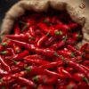Rainger International – sannam red chilli, red chilli exporters in india, red chilli exporters in mumbai, red chilli exporters in navi mumbai, red chilli exporters in thane, red chilli exporters in mumbai maharashtra, red chilli exporters in nashik, red chilli exporters in gujarat, red chilli exporters in guntur, red chilli exporters in rajasthan, red chilli exporters from india, red chilli exporters from mumbai, red chilli exporters from navi mumbai, red chilli exporters from thane, red chilli exporters from mumbai maharashtra, red chilli exporters from nashik, red chilli exporters from gujarat, red chilli exporters from guntur, red chilli exporters from rajasthan, rainger ventures, rainger india, International trade, International Trade Company, International trade Company India, exporters from india, exporters from mumbai, exporters from pune, exporters from gujarat, exporters from kerala, export import company, import export company India, import export companies in India, import export company in Mumbai, import export company in Pune, import export company in Nagpur, import export company in Kerala, import export company in Delhi, import export companies in Aurangabad, import export company near me, import export company in Nashik, import export company in Ahmedabad, import export company in Delhi, import export company in Rajasthan, import export companies in Gujarat, export import company, export import company India, export import companies in India, export import company in Mumbai, export import company in Pune, export import company in Nagpur, export import company in Kerala, export import company in Delhi, export import companies in Aurangabad, export import company near me, export import company in Nashik, export import company in Delhi, export import company in Ahmedabad, export import company in Rajasthan, export import companies in Gujarat, global sourcing company chennai, global sourcing company mumbai, global sourcing company in india, international trading company, international trading company mumbai, international trading company in india, international trading company in delhi, international trading company in gujarat, international trading company in kerala, export company in India, export company in mumbai, export company in pune, import export business in india, import export business in mumbai, B2B global trade, B2B international trade, global trade company in india, global trade company in delhi, global trade company in mumbai, best sourcing company in India, product sourcing company in India, global sourcing company in India, international trade services in mumbai, import export consultancy services india, import export services in india, import export service provider in india, import export service provider, export import services India, global sourcing services, global sourcing companies in india, cross border trade services, global supply chain company, global supply chain companies in india, procurement companies India, top procurement company in India, export business India, export company India, international logistics and trade, B2B sourcing companies in india, B2B procurement company, wholesale export company in india, wholesale exporters in india, international trade company in India for export import, global sourcing company for B2B buyers, export import services company in India, cross border trade execution services, international sourcing and procurement company, reliable export company from India, B2B import export solutions provider, global supplier sourcing company India, international trade partner for importers, structured international trade company, international trade, export import, global sourcing, B2B trade, sourcing India, cross border trade, international business – RaingerInternational.com