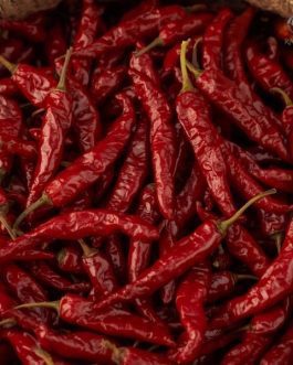 Premium Indian Sannam Red Chilli Pepper S4 Variety | Export Quality | per KG | Rainger International