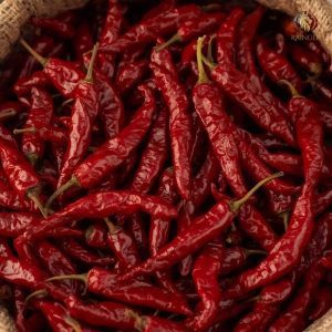 Rainger International – sannam red chilli, red chilli exporters in india, red chilli exporters in mumbai, red chilli exporters in navi mumbai, red chilli exporters in thane, red chilli exporters in mumbai maharashtra, red chilli exporters in nashik, red chilli exporters in gujarat, red chilli exporters in guntur, red chilli exporters in rajasthan, red chilli exporters from india, red chilli exporters from mumbai, red chilli exporters from navi mumbai, red chilli exporters from thane, red chilli exporters from mumbai maharashtra, red chilli exporters from nashik, red chilli exporters from gujarat, red chilli exporters from guntur, red chilli exporters from rajasthan, rainger ventures, rainger india, International trade, International Trade Company, International trade Company India, exporters from india, exporters from mumbai, exporters from pune, exporters from gujarat, exporters from kerala, export import company, import export company India, import export companies in India, import export company in Mumbai, import export company in Pune, import export company in Nagpur, import export company in Kerala, import export company in Delhi, import export companies in Aurangabad, import export company near me, import export company in Nashik, import export company in Ahmedabad, import export company in Delhi, import export company in Rajasthan, import export companies in Gujarat, export import company, export import company India, export import companies in India, export import company in Mumbai, export import company in Pune, export import company in Nagpur, export import company in Kerala, export import company in Delhi, export import companies in Aurangabad, export import company near me, export import company in Nashik, export import company in Delhi, export import company in Ahmedabad, export import company in Rajasthan, export import companies in Gujarat, global sourcing company chennai, global sourcing company mumbai, global sourcing company in india, international trading company, international trading company mumbai, international trading company in india, international trading company in delhi, international trading company in gujarat, international trading company in kerala, export company in India, export company in mumbai, export company in pune, import export business in india, import export business in mumbai, B2B global trade, B2B international trade, global trade company in india, global trade company in delhi, global trade company in mumbai, best sourcing company in India, product sourcing company in India, global sourcing company in India, international trade services in mumbai, import export consultancy services india, import export services in india, import export service provider in india, import export service provider, export import services India, global sourcing services, global sourcing companies in india, cross border trade services, global supply chain company, global supply chain companies in india, procurement companies India, top procurement company in India, export business India, export company India, international logistics and trade, B2B sourcing companies in india, B2B procurement company, wholesale export company in india, wholesale exporters in india, international trade company in India for export import, global sourcing company for B2B buyers, export import services company in India, cross border trade execution services, international sourcing and procurement company, reliable export company from India, B2B import export solutions provider, global supplier sourcing company India, international trade partner for importers, structured international trade company, international trade, export import, global sourcing, B2B trade, sourcing India, cross border trade, international business – RaingerInternational.com