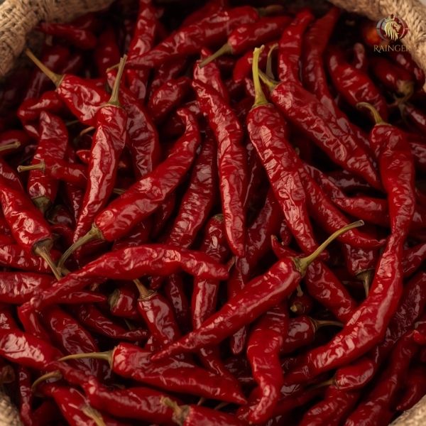 Rainger International – sannam red chilli, red chilli exporters in india, red chilli exporters in mumbai, red chilli exporters in navi mumbai, red chilli exporters in thane, red chilli exporters in mumbai maharashtra, red chilli exporters in nashik, red chilli exporters in gujarat, red chilli exporters in guntur, red chilli exporters in rajasthan, red chilli exporters from india, red chilli exporters from mumbai, red chilli exporters from navi mumbai, red chilli exporters from thane, red chilli exporters from mumbai maharashtra, red chilli exporters from nashik, red chilli exporters from gujarat, red chilli exporters from guntur, red chilli exporters from rajasthan, rainger ventures, rainger india, International trade, International Trade Company, International trade Company India, exporters from india, exporters from mumbai, exporters from pune, exporters from gujarat, exporters from kerala, export import company, import export company India, import export companies in India, import export company in Mumbai, import export company in Pune, import export company in Nagpur, import export company in Kerala, import export company in Delhi, import export companies in Aurangabad, import export company near me, import export company in Nashik, import export company in Ahmedabad, import export company in Delhi, import export company in Rajasthan, import export companies in Gujarat, export import company, export import company India, export import companies in India, export import company in Mumbai, export import company in Pune, export import company in Nagpur, export import company in Kerala, export import company in Delhi, export import companies in Aurangabad, export import company near me, export import company in Nashik, export import company in Delhi, export import company in Ahmedabad, export import company in Rajasthan, export import companies in Gujarat, global sourcing company chennai, global sourcing company mumbai, global sourcing company in india, international trading company, international trading company mumbai, international trading company in india, international trading company in delhi, international trading company in gujarat, international trading company in kerala, export company in India, export company in mumbai, export company in pune, import export business in india, import export business in mumbai, B2B global trade, B2B international trade, global trade company in india, global trade company in delhi, global trade company in mumbai, best sourcing company in India, product sourcing company in India, global sourcing company in India, international trade services in mumbai, import export consultancy services india, import export services in india, import export service provider in india, import export service provider, export import services India, global sourcing services, global sourcing companies in india, cross border trade services, global supply chain company, global supply chain companies in india, procurement companies India, top procurement company in India, export business India, export company India, international logistics and trade, B2B sourcing companies in india, B2B procurement company, wholesale export company in india, wholesale exporters in india, international trade company in India for export import, global sourcing company for B2B buyers, export import services company in India, cross border trade execution services, international sourcing and procurement company, reliable export company from India, B2B import export solutions provider, global supplier sourcing company India, international trade partner for importers, structured international trade company, international trade, export import, global sourcing, B2B trade, sourcing India, cross border trade, international business – RaingerInternational.com