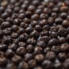 Rainger International – tellicherry garbled extra bold, tellicherry extra bold peppercorns, tgeb black pepper, indian black peppercorn, black peppercorn exporters in india, black peppercorn exporters in mumbai, black peppercorn exporters in kerala, black peppercorn exporters from India, black peppercorn exporters from mumbai, indian black peppercorn, black pepper exporters in india, black pepper exporters in mumbai, black pepper exporters in kerala, black pepper exporters from India, black pepper exporters from mumbai, black pepper exporters in India, rainger international, rainger ventures, rainger india, International trade, International Trade Company, International trade Company India, exporters from india, exporters from mumbai, exporters from pune, exporters from gujarat, exporters from kerala, export import company, import export company India, import export companies in India, import export company in Mumbai, import export company in Pune, import export company in Nagpur, import export company in Kerala, import export company in Delhi, import export companies in Aurangabad, import export company near me, import export company in Nashik, import export company in Ahmedabad, import export company in Delhi, import export company in Rajasthan, import export companies in Gujarat, export import company, export import company India, export import companies in India, export import company in Mumbai, export import company in Pune, export import company in Nagpur, export import company in Kerala, export import company in Delhi, export import companies in Aurangabad, export import company near me, export import company in Nashik, export import company in Delhi, export import company in Ahmedabad, export import company in Rajasthan, export import companies in Gujarat, global sourcing company chennai, global sourcing company mumbai, global sourcing company in india, international trading company, international trading company mumbai, international trading company in india, international trading company in delhi, international trading company in gujarat, international trading company in kerala, export company in India, export company in mumbai, export company in pune, import export business in india, import export business in mumbai, B2B global trade, B2B international trade, global trade company in india, global trade company in delhi, global trade company in mumbai, best sourcing company in India, product sourcing company in India, global sourcing company in India, international trade services in mumbai, import export consultancy services india, import export services in india, import export service provider in india, import export service provider, export import services India, global sourcing services, global sourcing companies in india, cross border trade services, global supply chain company, global supply chain companies in india, procurement companies India, top procurement company in India, export business India, export company India, international logistics and trade, B2B sourcing companies in india, B2B procurement company, wholesale export company in india, wholesale exporters in india, international trade company in India for export import, global sourcing company for B2B buyers, export import services company in India, cross border trade execution services, international sourcing and procurement company, reliable export company from India, B2B import export solutions provider, global supplier sourcing company India, international trade partner for importers, structured international trade company, international trade, export import, global sourcing, B2B trade, sourcing India, cross border trade, international business – RaingerInternational.com