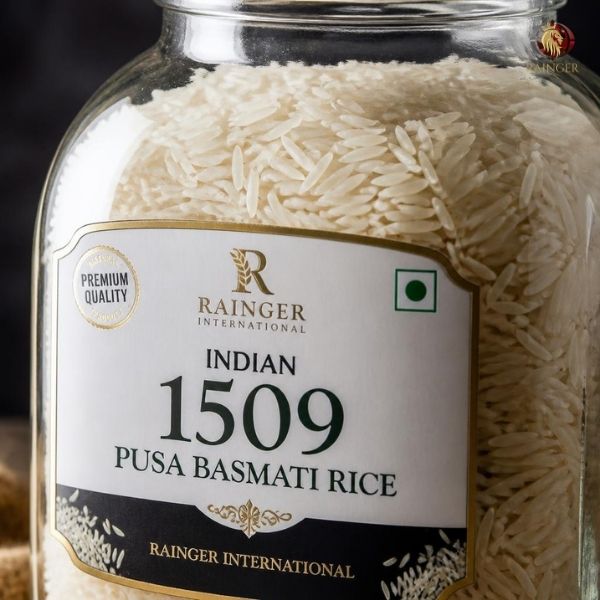 Rainger International – pusa 1509 basmati rice, pusa 1509 basmati rice exporters, pusa 1509 basmati rice exporter mumbai, pusa 1509 basmati rice exporter maharashtra, 1509 pusa basmati rice, pusa basmati rice, pusa basmati rice exporters, pusa basmati rice manufacturers in india, 1509 pusa basmati rice manufacturers in india, pusa basmati rice supplier, premium basmati rice, Basmati Rice Exporters in India, Basmati Rice Exporters in Punjab, Basmati Rice Exporters in Haryana, Basmati Rice Exporters in Delhi, Basmati Rice Exporters in Mumbai, Basmati Rice Exporter in Gujarat, Basmati Rice Exporter in karnal, rainger ventures, rainger india, International trade, International Trade Company, International trade Company India, exporters from india, exporters from mumbai, exporters from pune, exporters from gujarat, exporters from kerala, export import company, import export company India, import export companies in India, import export company in Mumbai, import export company in Pune, import export company in Nagpur, import export company in Kerala, import export company in Delhi, import export companies in Aurangabad, import export company near me, import export company in Nashik, import export company in Ahmedabad, import export company in Delhi, import export company in Rajasthan, import export companies in Gujarat, export import company, export import company India, export import companies in India, export import company in Mumbai, export import company in Pune, export import company in Nagpur, export import company in Kerala, export import company in Delhi, export import companies in Aurangabad, export import company near me, export import company in Nashik, export import company in Delhi, export import company in Ahmedabad, export import company in Rajasthan, export import companies in Gujarat, global sourcing company chennai, global sourcing company mumbai, global sourcing company in india, international trading company, international trading company mumbai, international trading company in india, international trading company in delhi, international trading company in gujarat, international trading company in kerala, export company in India, export company in mumbai, export company in pune, import export business in india, import export business in mumbai, B2B global trade, B2B international trade, global trade company in india, global trade company in delhi, global trade company in mumbai, best sourcing company in India, product sourcing company in India, global sourcing company in India, international trade services in mumbai, import export consultancy services india, import export services in india, import export service provider in india, import export service provider, export import services India, global sourcing services, global sourcing companies in india, cross border trade services, global supply chain company, global supply chain companies in india, procurement companies India, top procurement company in India, export business India, export company India, international logistics and trade, B2B sourcing companies in india, B2B procurement company, wholesale export company in india, wholesale exporters in india, international trade company in India for export import, global sourcing company for B2B buyers, export import services company in India, cross border trade execution services, international sourcing and procurement company, reliable export company from India, B2B import export solutions provider, global supplier sourcing company India, international trade partner for importers, structured international trade company, international trade, export import, global sourcing, B2B trade, sourcing India, cross border trade, international business – RaingerInternational.com