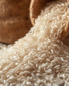 Premium 1509 Pusa Basmati Rice from Haryana India | Aromatic & Healthy | per KG | Rainger International