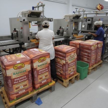 Rainger International – pusa 1509 basmati rice, pusa 1509 basmati rice exporters, pusa 1509 basmati rice exporter mumbai, pusa 1509 basmati rice exporter maharashtra, 1509 pusa basmati rice, pusa basmati rice, pusa basmati rice exporters, pusa basmati rice manufacturers in india, 1509 pusa basmati rice manufacturers in india, pusa basmati rice supplier, premium basmati rice, Basmati Rice Exporters in India, Basmati Rice Exporters in Punjab, Basmati Rice Exporters in Haryana, Basmati Rice Exporters in Delhi, Basmati Rice Exporters in Mumbai, Basmati Rice Exporter in Gujarat, Basmati Rice Exporter in karnal, rainger ventures, rainger india, International trade, International Trade Company, International trade Company India, exporters from india, exporters from mumbai, exporters from pune, exporters from gujarat, exporters from kerala, export import company, import export company India, import export companies in India, import export company in Mumbai, import export company in Pune, import export company in Nagpur, import export company in Kerala, import export company in Delhi, import export companies in Aurangabad, import export company near me, import export company in Nashik, import export company in Ahmedabad, import export company in Delhi, import export company in Rajasthan, import export companies in Gujarat, export import company, export import company India, export import companies in India, export import company in Mumbai, export import company in Pune, export import company in Nagpur, export import company in Kerala, export import company in Delhi, export import companies in Aurangabad, export import company near me, export import company in Nashik, export import company in Delhi, export import company in Ahmedabad, export import company in Rajasthan, export import companies in Gujarat, global sourcing company chennai, global sourcing company mumbai, global sourcing company in india, international trading company, international trading company mumbai, international trading company in india, international trading company in delhi, international trading company in gujarat, international trading company in kerala, export company in India, export company in mumbai, export company in pune, import export business in india, import export business in mumbai, B2B global trade, B2B international trade, global trade company in india, global trade company in delhi, global trade company in mumbai, best sourcing company in India, product sourcing company in India, global sourcing company in India, international trade services in mumbai, import export consultancy services india, import export services in india, import export service provider in india, import export service provider, export import services India, global sourcing services, global sourcing companies in india, cross border trade services, global supply chain company, global supply chain companies in india, procurement companies India, top procurement company in India, export business India, export company India, international logistics and trade, B2B sourcing companies in india, B2B procurement company, wholesale export company in india, wholesale exporters in india, international trade company in India for export import, global sourcing company for B2B buyers, export import services company in India, cross border trade execution services, international sourcing and procurement company, reliable export company from India, B2B import export solutions provider, global supplier sourcing company India, international trade partner for importers, structured international trade company, international trade, export import, global sourcing, B2B trade, sourcing India, cross border trade, international business – RaingerInternational.com