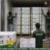 Rainger International – basrai banana, basrai banana exporters, basrai banana exporters in india, basrai banana exporters in mumbai, basrai banana exporters in maharashtra, basrai banana exporters in jalgaon, basrai banana exporters from india, basrai banana exporters from mumbai, basrai banana exporters from maharashtra, basrai banana exporters from jalgaon, basrai banana suppliers in india, basrai banana suppliers in mumbai, basrai banana suppliers in maharashtra, basrai banana suppliers in jalgaon, basrai banana suppliers in solapur, basrai banana suppliers from india, basrai banana suppliers from mumbai. basrai banana suppliers from maharashtra, basrai banana suppliers from jalgaon, basrai banana suppliers from solapur, banana exporters from india, banana exporters from jalgaon, banana exporters from solapur, banana exporters from mumbai, banana exporters from maharashtra, banana exporters in india, banana exporters in jalgaon, banana exporters in mumbai, banana exporters in maharashtra, banana exporters in thane, banana exporters in solapur, cavendish banana exporter from india, cavendish banana exporters from india, cavendish banana suppliers in india, cavendish banana suppliers in maharashtra, cavendish banana suppliers in mumbai, cavendish banana exporters from india, cavendish banana exporters from mumbai, cavendish banana exporters from maharashtra, rainger ventures, rainger india, International trade, International Trade Company, International trade Company India, exporters from india, exporters from mumbai, exporters from pune, exporters from gujarat, exporters from kerala, export import company, import export company India, import export companies in India, import export company in Mumbai, import export company in Pune, import export company in Nagpur, import export company in Kerala, import export company in Delhi, import export companies in Aurangabad, import export company near me, import export company in Nashik, import export company in Ahmedabad, import export company in Delhi, import export company in Rajasthan, import export companies in Gujarat, export import company, export import company India, export import companies in India, export import company in Mumbai, export import company in Pune, export import company in Nagpur, export import company in Kerala, export import company in Delhi, export import companies in Aurangabad, export import company near me, export import company in Nashik, export import company in Delhi, export import company in Ahmedabad, export import company in Rajasthan, export import companies in Gujarat, global sourcing company chennai, global sourcing company mumbai, global sourcing company in india, international trading company, international trading company mumbai, international trading company in india, international trading company in delhi, international trading company in gujarat, international trading company in kerala, export company in India, export company in mumbai, export company in pune, import export business in india, import export business in mumbai, B2B global trade, B2B international trade, global trade company in india, global trade company in delhi, global trade company in mumbai, best sourcing company in India, product sourcing company in India, global sourcing company in India, international trade services in mumbai, import export consultancy services india, import export services in india, import export service provider in india, import export service provider, export import services India, global sourcing services, global sourcing companies in india, cross border trade services, global supply chain company, global supply chain companies in india, procurement companies India, top procurement company in India, export business India, export company India, international logistics and trade, B2B sourcing companies in india, B2B procurement company, wholesale export company in india, wholesale exporters in india, international trade company in India for export import, global sourcing company for B2B buyers, export import services company in India, cross border trade execution services, international sourcing and procurement company, reliable export company from India, B2B import export solutions provider, global supplier sourcing company India, international trade partner for importers, structured international trade company, international trade, export import, global sourcing, B2B trade, sourcing India, cross border trade, international business – RaingerInternational.com