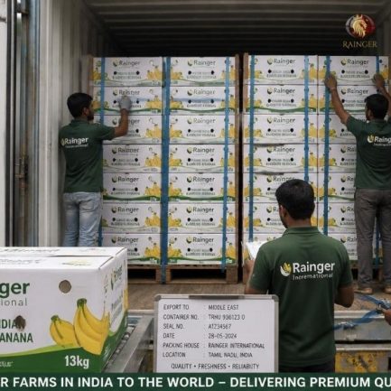 Rainger International – basrai banana, basrai banana exporters, basrai banana exporters in india, basrai banana exporters in mumbai, basrai banana exporters in maharashtra, basrai banana exporters in jalgaon, basrai banana exporters from india, basrai banana exporters from mumbai, basrai banana exporters from maharashtra, basrai banana exporters from jalgaon, basrai banana suppliers in india, basrai banana suppliers in mumbai, basrai banana suppliers in maharashtra, basrai banana suppliers in jalgaon, basrai banana suppliers in solapur, basrai banana suppliers from india, basrai banana suppliers from mumbai. basrai banana suppliers from maharashtra, basrai banana suppliers from jalgaon, basrai banana suppliers from solapur, banana exporters from india, banana exporters from jalgaon, banana exporters from solapur, banana exporters from mumbai, banana exporters from maharashtra, banana exporters in india, banana exporters in jalgaon, banana exporters in mumbai, banana exporters in maharashtra, banana exporters in thane, banana exporters in solapur, cavendish banana exporter from india, cavendish banana exporters from india, cavendish banana suppliers in india, cavendish banana suppliers in maharashtra, cavendish banana suppliers in mumbai, cavendish banana exporters from india, cavendish banana exporters from mumbai, cavendish banana exporters from maharashtra, rainger ventures, rainger india, International trade, International Trade Company, International trade Company India, exporters from india, exporters from mumbai, exporters from pune, exporters from gujarat, exporters from kerala, export import company, import export company India, import export companies in India, import export company in Mumbai, import export company in Pune, import export company in Nagpur, import export company in Kerala, import export company in Delhi, import export companies in Aurangabad, import export company near me, import export company in Nashik, import export company in Ahmedabad, import export company in Delhi, import export company in Rajasthan, import export companies in Gujarat, export import company, export import company India, export import companies in India, export import company in Mumbai, export import company in Pune, export import company in Nagpur, export import company in Kerala, export import company in Delhi, export import companies in Aurangabad, export import company near me, export import company in Nashik, export import company in Delhi, export import company in Ahmedabad, export import company in Rajasthan, export import companies in Gujarat, global sourcing company chennai, global sourcing company mumbai, global sourcing company in india, international trading company, international trading company mumbai, international trading company in india, international trading company in delhi, international trading company in gujarat, international trading company in kerala, export company in India, export company in mumbai, export company in pune, import export business in india, import export business in mumbai, B2B global trade, B2B international trade, global trade company in india, global trade company in delhi, global trade company in mumbai, best sourcing company in India, product sourcing company in India, global sourcing company in India, international trade services in mumbai, import export consultancy services india, import export services in india, import export service provider in india, import export service provider, export import services India, global sourcing services, global sourcing companies in india, cross border trade services, global supply chain company, global supply chain companies in india, procurement companies India, top procurement company in India, export business India, export company India, international logistics and trade, B2B sourcing companies in india, B2B procurement company, wholesale export company in india, wholesale exporters in india, international trade company in India for export import, global sourcing company for B2B buyers, export import services company in India, cross border trade execution services, international sourcing and procurement company, reliable export company from India, B2B import export solutions provider, global supplier sourcing company India, international trade partner for importers, structured international trade company, international trade, export import, global sourcing, B2B trade, sourcing India, cross border trade, international business – RaingerInternational.com