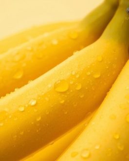 Rainger International – basrai banana, basrai banana exporters, basrai banana exporters in india, basrai banana exporters in mumbai, basrai banana exporters in maharashtra, basrai banana exporters in jalgaon, basrai banana exporters from india, basrai banana exporters from mumbai, basrai banana exporters from maharashtra, basrai banana exporters from jalgaon, basrai banana suppliers in india, basrai banana suppliers in mumbai, basrai banana suppliers in maharashtra, basrai banana suppliers in jalgaon, basrai banana suppliers in solapur, basrai banana suppliers from india, basrai banana suppliers from mumbai. basrai banana suppliers from maharashtra, basrai banana suppliers from jalgaon, basrai banana suppliers from solapur, banana exporters from india, banana exporters from jalgaon, banana exporters from solapur, banana exporters from mumbai, banana exporters from maharashtra, banana exporters in india, banana exporters in jalgaon, banana exporters in mumbai, banana exporters in maharashtra, banana exporters in thane, banana exporters in solapur, cavendish banana exporter from india, cavendish banana exporters from india, cavendish banana suppliers in india, cavendish banana suppliers in maharashtra, cavendish banana suppliers in mumbai, cavendish banana exporters from india, cavendish banana exporters from mumbai, cavendish banana exporters from maharashtra, rainger ventures, rainger india, International trade, International Trade Company, International trade Company India, exporters from india, exporters from mumbai, exporters from pune, exporters from gujarat, exporters from kerala, export import company, import export company India, import export companies in India, import export company in Mumbai, import export company in Pune, import export company in Nagpur, import export company in Kerala, import export company in Delhi, import export companies in Aurangabad, import export company near me, import export company in Nashik, import export company in Ahmedabad, import export company in Delhi, import export company in Rajasthan, import export companies in Gujarat, export import company, export import company India, export import companies in India, export import company in Mumbai, export import company in Pune, export import company in Nagpur, export import company in Kerala, export import company in Delhi, export import companies in Aurangabad, export import company near me, export import company in Nashik, export import company in Delhi, export import company in Ahmedabad, export import company in Rajasthan, export import companies in Gujarat, global sourcing company chennai, global sourcing company mumbai, global sourcing company in india, international trading company, international trading company mumbai, international trading company in india, international trading company in delhi, international trading company in gujarat, international trading company in kerala, export company in India, export company in mumbai, export company in pune, import export business in india, import export business in mumbai, B2B global trade, B2B international trade, global trade company in india, global trade company in delhi, global trade company in mumbai, best sourcing company in India, product sourcing company in India, global sourcing company in India, international trade services in mumbai, import export consultancy services india, import export services in india, import export service provider in india, import export service provider, export import services India, global sourcing services, global sourcing companies in india, cross border trade services, global supply chain company, global supply chain companies in india, procurement companies India, top procurement company in India, export business India, export company India, international logistics and trade, B2B sourcing companies in india, B2B procurement company, wholesale export company in india, wholesale exporters in india, international trade company in India for export import, global sourcing company for B2B buyers, export import services company in India, cross border trade execution services, international sourcing and procurement company, reliable export company from India, B2B import export solutions provider, global supplier sourcing company India, international trade partner for importers, structured international trade company, international trade, export import, global sourcing, B2B trade, sourcing India, cross border trade, international business – RaingerInternational.com