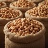 Rainger International – bold groundnut exporters in india, bold groundnut exporters in Maharashtra, bold peanuts supplier in india, runner peanuts exporters in india, top peanut exporters in india, peanut exporter in india, peanut exporter in Gujarat, peanut exporter in Mumbai, groundnut exporters in india, peanut suppliers in india, peanut suppliers in gujarat, Groundnut exporter in india, Groundnut suppliers in india, Best peanut exporter in india, Largest exporter of groundnut, peanut exporter in india, peanut exporter in Gujarat, peanut exporter in Rajkot, peanut exporter in Ahmedabad, peanut exporter in Junagadh, peanut supplier in india, Groundnut suppliers from india, Best peanut exporter from india, peanut exporter from india, peanut exporter from Gujarat, peanut exporter from Rajkot, peanut exporter from Ahmedabad, peanut exporter from Junagadh, peanut supplier from india, Oil Seeds Exporter in India, rainger ventures, rainger india, International trade, International Trade Company, International trade Company India, exporters from india, exporters from mumbai, exporters from pune, exporters from gujarat, exporters from kerala, export import company, import export company India, import export companies in India, import export company in Mumbai, import export company in Pune, import export company in Nagpur, import export company in Kerala, import export company in Delhi, import export companies in Aurangabad, import export company near me, import export company in Nashik, import export company in Ahmedabad, import export company in Delhi, import export company in Rajasthan, import export companies in Gujarat, export import company, export import company India, export import companies in India, export import company in Mumbai, export import company in Pune, export import company in Nagpur, export import company in Kerala, export import company in Delhi, export import companies in Aurangabad, export import company near me, export import company in Nashik, export import company in Delhi, export import company in Ahmedabad, export import company in Rajasthan, export import companies in Gujarat, global sourcing company chennai, global sourcing company mumbai, global sourcing company in india, international trading company, international trading company mumbai, international trading company in india, international trading company in delhi, international trading company in gujarat, international trading company in kerala, export company in India, export company in mumbai, export company in pune, import export business in india, import export business in mumbai, B2B global trade, B2B international trade, global trade company in india, global trade company in delhi, global trade company in mumbai, best sourcing company in India, product sourcing company in India, global sourcing company in India, international trade services in mumbai, import export consultancy services india, import export services in india, import export service provider in india, import export service provider, export import services India, global sourcing services, global sourcing companies in india, cross border trade services, global supply chain company, global supply chain companies in india, procurement companies India, top procurement company in India, export business India, export company India, international logistics and trade, B2B sourcing companies in india, B2B procurement company, wholesale export company in india, wholesale exporters in india, international trade company in India for export import, global sourcing company for B2B buyers, export import services company in India, cross border trade execution services, international sourcing and procurement company, reliable export company from India, B2B import export solutions provider, global supplier sourcing company India, international trade partner for importers, structured international trade company, international trade, export import, global sourcing, B2B trade, sourcing India, cross border trade, international business – RaingerInternational.com