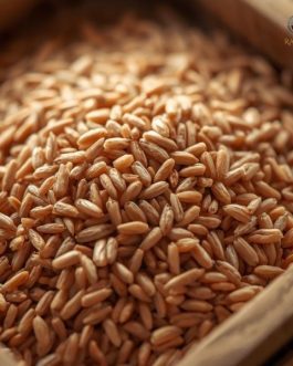 Premium Indian Brown Rice – Naturally Grown Wellness Super Food | 25KG bag | Rainger International