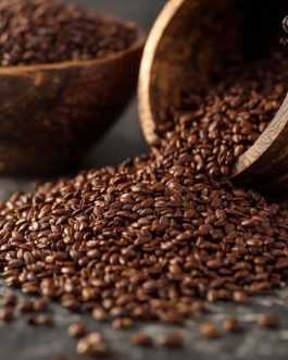 Export Quality Indian Brown Sesame Seeds from Gujarat India | 25 KG Bag | Rainger International