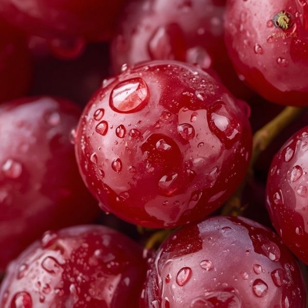 Rainger International – Flame Seedless Grapes, Flame Seedless Grapes exporters in india, Flame Seedless Grapes exporters in maharashtra, Flame Seedless Grapes exporters in mumbai,Flame Seedless Grapes exporters in nashik, Flame Seedless Grapes exporters from india, Flame Seedless Grapes exporters from maharashtra, Flame Seedless Grapes exporters from mumbai, Flame Seedless Grapes exporters from nashik, Seedless Grapes exporters in india, Seedless Grapes exporters in maharashtra, Seedless Grapes exporters in mumbai, Seedless Grapes exporters in nashik, Grapes exporters in india, Grapes exporters in sangli, Grapes exporters in mumbai, Grapes exporters in maharashtra, Grapes exporters in nashik, Grapes exporters in maharashtra, Grapes exporters in Gujarat, Grapes exporters in Bangalore, Grapes exporters from Bangalore, rainger ventures, rainger india, International trade, International Trade Company, International trade Company India, exporters from india, exporters from mumbai, exporters from pune, exporters from gujarat, exporters from kerala, export import company, import export company India, import export companies in India, import export company in Mumbai, import export company in Pune, import export company in Nagpur, import export company in Kerala, import export company in Delhi, import export companies in Aurangabad, import export company near me, import export company in Nashik, import export company in Ahmedabad, import export company in Delhi, import export company in Rajasthan, import export companies in Gujarat, export import company, export import company India, export import companies in India, export import company in Mumbai, export import company in Pune, export import company in Nagpur, export import company in Kerala, export import company in Delhi, export import companies in Aurangabad, export import company near me, export import company in Nashik, export import company in Delhi, export import company in Ahmedabad, export import company in Rajasthan, export import companies in Gujarat, global sourcing company chennai, global sourcing company mumbai, global sourcing company in india, international trading company, international trading company mumbai, international trading company in india, international trading company in delhi, international trading company in gujarat, international trading company in kerala, export company in India, export company in mumbai, export company in pune, import export business in india, import export business in mumbai, B2B global trade, B2B international trade, global trade company in india, global trade company in delhi, global trade company in mumbai, best sourcing company in India, product sourcing company in India, global sourcing company in India, international trade services in mumbai, import export consultancy services india, import export services in india, import export service provider in india, import export service provider, export import services India, global sourcing services, global sourcing companies in india, cross border trade services, global supply chain company, global supply chain companies in india, procurement companies India, top procurement company in India, export business India, export company India, international logistics and trade, B2B sourcing companies in india, B2B procurement company, wholesale export company in india, wholesale exporters in india, international trade company in India for export import, global sourcing company for B2B buyers, export import services company in India, cross border trade execution services, international sourcing and procurement company, reliable export company from India, B2B import export solutions provider, global supplier sourcing company India, international trade partner for importers, structured international trade company, international trade, export import, global sourcing, B2B trade, sourcing India, cross border trade, international business – RaingerInternational.com
