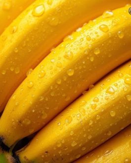 Premium Grand Naine G9 Banana from Maharashtra India – Export Quality | 13kg Box | Rainger International