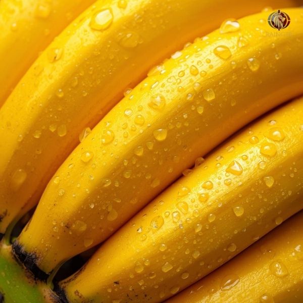 Rainger International – grand naine g9 banana, grand naine g9 banana exporter in maharashtra, grand naine g9 banana exporter in mumbai, grand naine g9 banana exporter in jalgaon, grand naine g9 banana exporter in solapur, grand naine g9 banana exporters in maharashtra, grand naine g9 banana exporters in mumbai, grand naine g9 banana exporters in jalgaon, grand naine g9 banana exporters in solapur, grand naine banana, grand naine banana exporter, grand naine banana exporter in india, grand naine banana exporter in mumbai, grand naine banana exporter in maharashtra, grand naine banana exporter in thane, grand naine banana supplier, grand naine banana supplier in india, grand naine banana supplier in mumbai, grand naine banana supplier in maharashtra, grand naine banana supplier in thane, banana exporters from india, banana exporters from jalgaon, banana exporters from solapur, banana exporters from mumbai, banana exporters from maharashtra, banana exporters in india, banana exporters in jalgaon, banana exporters in mumbai, banana exporters in maharashtra, banana exporters in thane, banana exporters in solapur, g9 banana exporter in india, g9 banana exporter in mumbai, g9 banana exporter in thane, g9 banana exporter in maharashtra, g9 banana exporter in jalgaon, g9 banana exporter in solapur, g9 banana exporter from india, g9 banana exporter from mumbai, g9 banana exporter from maharashtra, g9 banana exporter from thane, g9 banana exporter from solapur, g9 banana exporter from jalgaon, cavendish banana exporter from india, cavendish banana exporters from india, cavendish banana suppliers in india, cavendish banana suppliers in maharashtra, cavendish banana suppliers in mumbai, cavendish banana exporters from india, cavendish banana exporters from mumbai, cavendish banana exporters from maharashtra, g9 cavendish banana exporters in india, g9 cavendish banana exporters in mumbai, g9 cavendish banana exporters in thane, g9 cavendish banana exporters in maharashtra, g9 cavendish banana exporters in solapur, g9 cavendish banana exporters in jalgaon, rainger ventures, rainger india, International trade, International Trade Company, International trade Company India, exporters from india, exporters from mumbai, exporters from pune, exporters from gujarat, exporters from kerala, export import company, import export company India, import export companies in India, import export company in Mumbai, import export company in Pune, import export company in Nagpur, import export company in Kerala, import export company in Delhi, import export companies in Aurangabad, import export company near me, import export company in Nashik, import export company in Ahmedabad, import export company in Delhi, import export company in Rajasthan, import export companies in Gujarat, export import company, export import company India, export import companies in India, export import company in Mumbai, export import company in Pune, export import company in Nagpur, export import company in Kerala, export import company in Delhi, export import companies in Aurangabad, export import company near me, export import company in Nashik, export import company in Delhi, export import company in Ahmedabad, export import company in Rajasthan, export import companies in Gujarat, global sourcing company chennai, global sourcing company mumbai, global sourcing company in india, international trading company, international trading company mumbai, international trading company in india, international trading company in delhi, international trading company in gujarat, international trading company in kerala, export company in India, export company in mumbai, export company in pune, import export business in india, import export business in mumbai, B2B global trade, B2B international trade, global trade company in india, global trade company in delhi, global trade company in mumbai, best sourcing company in India, product sourcing company in India, global sourcing company in India, international trade services in mumbai, import export consultancy services india, import export services in india, import export service provider in india, import export service provider, export import services India, global sourcing services, global sourcing companies in india, cross border trade services, global supply chain company, global supply chain companies in india, procurement companies India, top procurement company in India, export business India, export company India, international logistics and trade, B2B sourcing companies in india, B2B procurement company, wholesale export company in india, wholesale exporters in india, international trade company in India for export import, global sourcing company for B2B buyers, export import services company in India, cross border trade execution services, international sourcing and procurement company, reliable export company from India, B2B import export solutions provider, global supplier sourcing company India, international trade partner for importers, structured international trade company, international trade, export import, global sourcing, B2B trade, sourcing India, cross border trade, international business – RaingerInternational.com