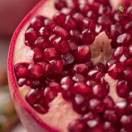 Rainger International – ganesh pomegranate, ganesh pomegranate exporters, ganesh pomegranate exporters in india, ganesh pomegranate exporters in maharashtra, ganesh pomegranate exporters in mumbai, ganesh pomegranate exporters in gujarat, ganesh pomegranate exporter in india, ganesh pomegranate exporter in mumbai, ganesh pomegranate exporter in thane, ganesh pomegranate exporter in maharashtra, ganesh pomegranate exporter in pune, ganesh pomegranate exporter in gujarat, rainger ventures, rainger india, International trade, International Trade Company, International trade Company India, exporters from india, exporters from mumbai, exporters from pune, exporters from gujarat, exporters from kerala, export import company, import export company India, import export companies in India, import export company in Mumbai, import export company in Pune, import export company in Nagpur, import export company in Kerala, import export company in Delhi, import export companies in Aurangabad, import export company near me, import export company in Nashik, import export company in Ahmedabad, import export company in Delhi, import export company in Rajasthan, import export companies in Gujarat, export import company, export import company India, export import companies in India, export import company in Mumbai, export import company in Pune, export import company in Nagpur, export import company in Kerala, export import company in Delhi, export import companies in Aurangabad, export import company near me, export import company in Nashik, export import company in Delhi, export import company in Ahmedabad, export import company in Rajasthan, export import companies in Gujarat, global sourcing company chennai, global sourcing company mumbai, global sourcing company in india, international trading company, international trading company mumbai, international trading company in india, international trading company in delhi, international trading company in gujarat, international trading company in kerala, export company in India, export company in mumbai, export company in pune, import export business in india, import export business in mumbai, B2B global trade, B2B international trade, global trade company in india, global trade company in delhi, global trade company in mumbai, best sourcing company in India, product sourcing company in India, global sourcing company in India, international trade services in mumbai, import export consultancy services india, import export services in india, import export service provider in india, import export service provider, export import services India, global sourcing services, global sourcing companies in india, cross border trade services, global supply chain company, global supply chain companies in india, procurement companies India, top procurement company in India, export business India, export company India, international logistics and trade, B2B sourcing companies in india, B2B procurement company, wholesale export company in india, wholesale exporters in india, international trade company in India for export import, global sourcing company for B2B buyers, export import services company in India, cross border trade execution services, international sourcing and procurement company, reliable export company from India, B2B import export solutions provider, global supplier sourcing company India, international trade partner for importers, structured international trade company, international trade, export import, global sourcing, B2B trade, sourcing India, cross border trade, international business – RaingerInternational.com