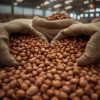 Rainger International – java groundnut exporters in india, java groundnut exporters in Maharashtra, java peanut exporters in india, top peanut exporters in india, peanut exporter in india, peanut exporter in Gujarat, peanut exporter in Mumbai, groundnut exporters in india, peanut suppliers in india, peanut suppliers in gujarat, Groundnut exporter in india, Groundnut suppliers in india, Best peanut exporter in india, Largest exporter of groundnut, peanut exporter in india, peanut exporter in Gujarat, peanut exporter in Rajkot, peanut exporter in Ahmedabad, peanut exporter in Junagadh, peanut supplier in india, Groundnut suppliers from india, Best peanut exporter from india, peanut exporter from india, peanut exporter from Gujarat, peanut exporter from Rajkot, peanut exporter from Ahmedabad, peanut exporter from Junagadh, peanut supplier from india, Oil Seeds Exporter in India, rainger ventures, rainger india, International trade, International Trade Company, International trade Company India, exporters from india, exporters from mumbai, exporters from pune, exporters from gujarat, exporters from kerala, export import company, import export company India, import export companies in India, import export company in Mumbai, import export company in Pune, import export company in Nagpur, import export company in Kerala, import export company in Delhi, import export companies in Aurangabad, import export company near me, import export company in Nashik, import export company in Ahmedabad, import export company in Delhi, import export company in Rajasthan, import export companies in Gujarat, export import company, export import company India, export import companies in India, export import company in Mumbai, export import company in Pune, export import company in Nagpur, export import company in Kerala, export import company in Delhi, export import companies in Aurangabad, export import company near me, export import company in Nashik, export import company in Delhi, export import company in Ahmedabad, export import company in Rajasthan, export import companies in Gujarat, global sourcing company chennai, global sourcing company mumbai, global sourcing company in india, international trading company, international trading company mumbai, international trading company in india, international trading company in delhi, international trading company in gujarat, international trading company in kerala, export company in India, export company in mumbai, export company in pune, import export business in india, import export business in mumbai, B2B global trade, B2B international trade, global trade company in india, global trade company in delhi, global trade company in mumbai, best sourcing company in India, product sourcing company in India, global sourcing company in India, international trade services in mumbai, import export consultancy services india, import export services in india, import export service provider in india, import export service provider, export import services India, global sourcing services, global sourcing companies in india, cross border trade services, global supply chain company, global supply chain companies in india, procurement companies India, top procurement company in India, export business India, export company India, international logistics and trade, B2B sourcing companies in india, B2B procurement company, wholesale export company in india, wholesale exporters in india, international trade company in India for export import, global sourcing company for B2B buyers, export import services company in India, cross border trade execution services, international sourcing and procurement company, reliable export company from India, B2B import export solutions provider, global supplier sourcing company India, international trade partner for importers, structured international trade company, international trade, export import, global sourcing, B2B trade, sourcing India, cross border trade, international business – RaingerInternational.com