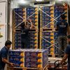 Rainger International – Kesar mangoes, Kesar mangoes exporters in india, Kesar mangoes exporters in gujarat, Kesar mango exporters in gujarat, Kesar mango exporters from india, kesar mango suppliers in gujarat, mango exporters in India, mango exporters in mumbai, mango exporters in pune, mango exporters in andra pradesh, mango exporters in gujarat, mango exporters in hyderabad, rainger ventures, rainger india, International trade, International Trade Company, International trade Company India, exporters from india, exporters from mumbai, exporters from pune, exporters from gujarat, exporters from kerala, export import company, import export company India, import export companies in India, import export company in Mumbai, import export company in Pune, import export company in Nagpur, import export company in Kerala, import export company in Delhi, import export companies in Aurangabad, import export company near me, import export company in Nashik, import export company in Ahmedabad, import export company in Delhi, import export company in Rajasthan, import export companies in Gujarat, export import company, export import company India, export import companies in India, export import company in Mumbai, export import company in Pune, export import company in Nagpur, export import company in Kerala, export import company in Delhi, export import companies in Aurangabad, export import company near me, export import company in Nashik, export import company in Delhi, export import company in Ahmedabad, export import company in Rajasthan, export import companies in Gujarat, global sourcing company chennai, global sourcing company mumbai, global sourcing company in india, international trading company, international trading company mumbai, international trading company in india, international trading company in delhi, international trading company in gujarat, international trading company in kerala, export company in India, export company in mumbai, export company in pune, import export business in india, import export business in mumbai, B2B global trade, B2B international trade, global trade company in india, global trade company in delhi, global trade company in mumbai, best sourcing company in India, product sourcing company in India, global sourcing company in India, international trade services in mumbai, import export consultancy services india, import export services in india, import export service provider in india, import export service provider, export import services India, global sourcing services, global sourcing companies in india, cross border trade services, global supply chain company, global supply chain companies in india, procurement companies India, top procurement company in India, export business India, export company India, international logistics and trade, B2B sourcing companies in india, B2B procurement company, wholesale export company in india, wholesale exporters in india, international trade company in India for export import, global sourcing company for B2B buyers, export import services company in India, cross border trade execution services, international sourcing and procurement company, reliable export company from India, B2B import export solutions provider, global supplier sourcing company India, international trade partner for importers, structured international trade company, international trade, export import, global sourcing, B2B trade, sourcing India, cross border trade, international business – RaingerInternational.com
