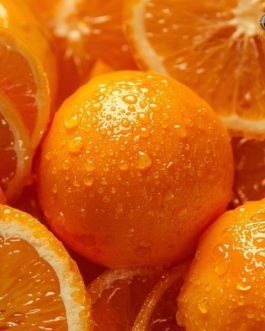 Rainger International – Nagpur Orange, Orange exporters in India, Orange exporter in nagpur, nagpur orange exporters in india, nagpur orange exporters in mumbai, nagpur orange exporters in maharashtra, nagpur orange exporters in thane, nagpur orange exporters in pune, Orange suppliers in nagpur, Orange exporter in nagpur, nagpur mandarin orange exporters in india, nagpur mandarin orange exporters in mumbai, nagpur mandarin orange exporters in maharashtra, nagpur mandarin orange exporters in thane, nagpur mandarin orange exporters in pune, rainger ventures, rainger india, International trade, International Trade Company, International trade Company India, exporters from india, exporters from mumbai, exporters from pune, exporters from gujarat, exporters from kerala, export import company, import export company India, import export companies in India, import export company in Mumbai, import export company in Pune, import export company in Nagpur, import export company in Kerala, import export company in Delhi, import export companies in Aurangabad, import export company near me, import export company in Nashik, import export company in Ahmedabad, import export company in Delhi, import export company in Rajasthan, import export companies in Gujarat, export import company, export import company India, export import companies in India, export import company in Mumbai, export import company in Pune, export import company in Nagpur, export import company in Kerala, export import company in Delhi, export import companies in Aurangabad, export import company near me, export import company in Nashik, export import company in Delhi, export import company in Ahmedabad, export import company in Rajasthan, export import companies in Gujarat, global sourcing company chennai, global sourcing company mumbai, global sourcing company in india, international trading company, international trading company mumbai, international trading company in india, international trading company in delhi, international trading company in gujarat, international trading company in kerala, export company in India, export company in mumbai, export company in pune, import export business in india, import export business in mumbai, B2B global trade, B2B international trade, global trade company in india, global trade company in delhi, global trade company in mumbai, best sourcing company in India, product sourcing company in India, global sourcing company in India, international trade services in mumbai, import export consultancy services india, import export services in india, import export service provider in india, import export service provider, export import services India, global sourcing services, global sourcing companies in india, cross border trade services, global supply chain company, global supply chain companies in india, procurement companies India, top procurement company in India, export business India, export company India, international logistics and trade, B2B sourcing companies in india, B2B procurement company, wholesale export company in india, wholesale exporters in india, international trade company in India for export import, global sourcing company for B2B buyers, export import services company in India, cross border trade execution services, international sourcing and procurement company, reliable export company from India, B2B import export solutions provider, global supplier sourcing company India, international trade partner for importers, structured international trade company, international trade, export import, global sourcing, B2B trade, sourcing India, cross border trade, international business – RaingerInternational.com
