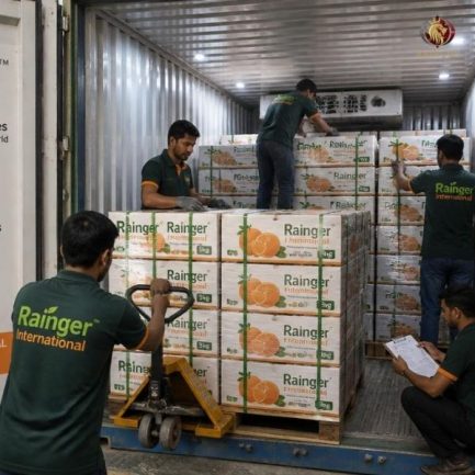 Rainger International – Nagpur Orange, Orange exporters in India, Orange exporter in nagpur, nagpur orange exporters in india, nagpur orange exporters in mumbai, nagpur orange exporters in maharashtra, nagpur orange exporters in thane, nagpur orange exporters in pune, Orange suppliers in nagpur, Orange exporter in nagpur, nagpur mandarin orange exporters in india, nagpur mandarin orange exporters in mumbai, nagpur mandarin orange exporters in maharashtra, nagpur mandarin orange exporters in thane, nagpur mandarin orange exporters in pune, rainger ventures, rainger india, International trade, International Trade Company, International trade Company India, exporters from india, exporters from mumbai, exporters from pune, exporters from gujarat, exporters from kerala, export import company, import export company India, import export companies in India, import export company in Mumbai, import export company in Pune, import export company in Nagpur, import export company in Kerala, import export company in Delhi, import export companies in Aurangabad, import export company near me, import export company in Nashik, import export company in Ahmedabad, import export company in Delhi, import export company in Rajasthan, import export companies in Gujarat, export import company, export import company India, export import companies in India, export import company in Mumbai, export import company in Pune, export import company in Nagpur, export import company in Kerala, export import company in Delhi, export import companies in Aurangabad, export import company near me, export import company in Nashik, export import company in Delhi, export import company in Ahmedabad, export import company in Rajasthan, export import companies in Gujarat, global sourcing company chennai, global sourcing company mumbai, global sourcing company in india, international trading company, international trading company mumbai, international trading company in india, international trading company in delhi, international trading company in gujarat, international trading company in kerala, export company in India, export company in mumbai, export company in pune, import export business in india, import export business in mumbai, B2B global trade, B2B international trade, global trade company in india, global trade company in delhi, global trade company in mumbai, best sourcing company in India, product sourcing company in India, global sourcing company in India, international trade services in mumbai, import export consultancy services india, import export services in india, import export service provider in india, import export service provider, export import services India, global sourcing services, global sourcing companies in india, cross border trade services, global supply chain company, global supply chain companies in india, procurement companies India, top procurement company in India, export business India, export company India, international logistics and trade, B2B sourcing companies in india, B2B procurement company, wholesale export company in india, wholesale exporters in india, international trade company in India for export import, global sourcing company for B2B buyers, export import services company in India, cross border trade execution services, international sourcing and procurement company, reliable export company from India, B2B import export solutions provider, global supplier sourcing company India, international trade partner for importers, structured international trade company, international trade, export import, global sourcing, B2B trade, sourcing India, cross border trade, international business – RaingerInternational.com
