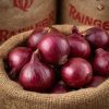 Rainger International – premium red onions, indian red onions, red onion exporters in india, red onion exporters in nashik, red onion exporters in maharashtra, red onion exporters, red onion exporters in kerala, red onion exporters in tamilnadu, red onion exporters from india, red onion exporters from kerala, red onion exporters in mumbai, red onion exporters from mumbai, red onion exporters from tamilnadu, rainger ventures, rainger india, International trade, International Trade Company, International trade Company India, exporters from india, exporters from mumbai, exporters from pune, exporters from gujarat, exporters from kerala, export import company, import export company India, import export companies in India, import export company in Mumbai, import export company in Pune, import export company in Nagpur, import export company in Kerala, import export company in Delhi, import export companies in Aurangabad, import export company near me, import export company in Nashik, import export company in Ahmedabad, import export company in Delhi, import export company in Rajasthan, import export companies in Gujarat, export import company, export import company India, export import companies in India, export import company in Mumbai, export import company in Pune, export import company in Nagpur, export import company in Kerala, export import company in Delhi, export import companies in Aurangabad, export import company near me, export import company in Nashik, export import company in Delhi, export import company in Ahmedabad, export import company in Rajasthan, export import companies in Gujarat, global sourcing company chennai, global sourcing company mumbai, global sourcing company in india, international trading company, international trading company mumbai, international trading company in india, international trading company in delhi, international trading company in gujarat, international trading company in kerala, export company in India, export company in mumbai, export company in pune, import export business in india, import export business in mumbai, B2B global trade, B2B international trade, global trade company in india, global trade company in delhi, global trade company in mumbai, best sourcing company in India, product sourcing company in India, global sourcing company in India, international trade services in mumbai, import export consultancy services india, import export services in india, import export service provider in india, import export service provider, export import services India, global sourcing services, global sourcing companies in india, cross border trade services, global supply chain company, global supply chain companies in india, procurement companies India, top procurement company in India, export business India, export company India, international logistics and trade, B2B sourcing companies in india, B2B procurement company, wholesale export company in india, wholesale exporters in india, international trade company in India for export import, global sourcing company for B2B buyers, export import services company in India, cross border trade execution services, international sourcing and procurement company, reliable export company from India, B2B import export solutions provider, global supplier sourcing company India, international trade partner for importers, structured international trade company, international trade, export import, global sourcing, B2B trade, sourcing India, cross border trade, international business – RaingerInternational.com