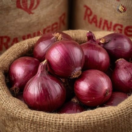 Rainger International – premium red onions, indian red onions, red onion exporters in india, red onion exporters in nashik, red onion exporters in maharashtra, red onion exporters, red onion exporters in kerala, red onion exporters in tamilnadu, red onion exporters from india, red onion exporters from kerala, red onion exporters in mumbai, red onion exporters from mumbai, red onion exporters from tamilnadu, rainger ventures, rainger india, International trade, International Trade Company, International trade Company India, exporters from india, exporters from mumbai, exporters from pune, exporters from gujarat, exporters from kerala, export import company, import export company India, import export companies in India, import export company in Mumbai, import export company in Pune, import export company in Nagpur, import export company in Kerala, import export company in Delhi, import export companies in Aurangabad, import export company near me, import export company in Nashik, import export company in Ahmedabad, import export company in Delhi, import export company in Rajasthan, import export companies in Gujarat, export import company, export import company India, export import companies in India, export import company in Mumbai, export import company in Pune, export import company in Nagpur, export import company in Kerala, export import company in Delhi, export import companies in Aurangabad, export import company near me, export import company in Nashik, export import company in Delhi, export import company in Ahmedabad, export import company in Rajasthan, export import companies in Gujarat, global sourcing company chennai, global sourcing company mumbai, global sourcing company in india, international trading company, international trading company mumbai, international trading company in india, international trading company in delhi, international trading company in gujarat, international trading company in kerala, export company in India, export company in mumbai, export company in pune, import export business in india, import export business in mumbai, B2B global trade, B2B international trade, global trade company in india, global trade company in delhi, global trade company in mumbai, best sourcing company in India, product sourcing company in India, global sourcing company in India, international trade services in mumbai, import export consultancy services india, import export services in india, import export service provider in india, import export service provider, export import services India, global sourcing services, global sourcing companies in india, cross border trade services, global supply chain company, global supply chain companies in india, procurement companies India, top procurement company in India, export business India, export company India, international logistics and trade, B2B sourcing companies in india, B2B procurement company, wholesale export company in india, wholesale exporters in india, international trade company in India for export import, global sourcing company for B2B buyers, export import services company in India, cross border trade execution services, international sourcing and procurement company, reliable export company from India, B2B import export solutions provider, global supplier sourcing company India, international trade partner for importers, structured international trade company, international trade, export import, global sourcing, B2B trade, sourcing India, cross border trade, international business – RaingerInternational.com