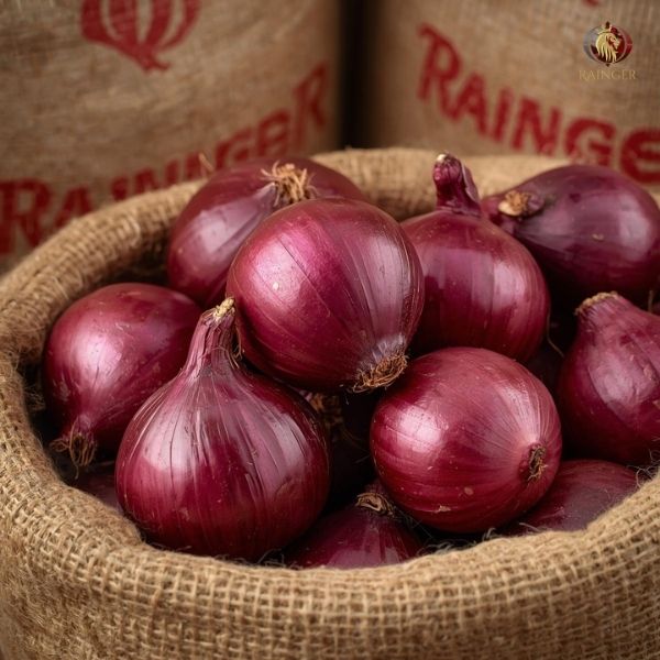 Rainger International – premium red onions, indian red onions, red onion exporters in india, red onion exporters in nashik, red onion exporters in maharashtra, red onion exporters, red onion exporters in kerala, red onion exporters in tamilnadu, red onion exporters from india, red onion exporters from kerala, red onion exporters in mumbai, red onion exporters from mumbai, red onion exporters from tamilnadu, rainger ventures, rainger india, International trade, International Trade Company, International trade Company India, exporters from india, exporters from mumbai, exporters from pune, exporters from gujarat, exporters from kerala, export import company, import export company India, import export companies in India, import export company in Mumbai, import export company in Pune, import export company in Nagpur, import export company in Kerala, import export company in Delhi, import export companies in Aurangabad, import export company near me, import export company in Nashik, import export company in Ahmedabad, import export company in Delhi, import export company in Rajasthan, import export companies in Gujarat, export import company, export import company India, export import companies in India, export import company in Mumbai, export import company in Pune, export import company in Nagpur, export import company in Kerala, export import company in Delhi, export import companies in Aurangabad, export import company near me, export import company in Nashik, export import company in Delhi, export import company in Ahmedabad, export import company in Rajasthan, export import companies in Gujarat, global sourcing company chennai, global sourcing company mumbai, global sourcing company in india, international trading company, international trading company mumbai, international trading company in india, international trading company in delhi, international trading company in gujarat, international trading company in kerala, export company in India, export company in mumbai, export company in pune, import export business in india, import export business in mumbai, B2B global trade, B2B international trade, global trade company in india, global trade company in delhi, global trade company in mumbai, best sourcing company in India, product sourcing company in India, global sourcing company in India, international trade services in mumbai, import export consultancy services india, import export services in india, import export service provider in india, import export service provider, export import services India, global sourcing services, global sourcing companies in india, cross border trade services, global supply chain company, global supply chain companies in india, procurement companies India, top procurement company in India, export business India, export company India, international logistics and trade, B2B sourcing companies in india, B2B procurement company, wholesale export company in india, wholesale exporters in india, international trade company in India for export import, global sourcing company for B2B buyers, export import services company in India, cross border trade execution services, international sourcing and procurement company, reliable export company from India, B2B import export solutions provider, global supplier sourcing company India, international trade partner for importers, structured international trade company, international trade, export import, global sourcing, B2B trade, sourcing India, cross border trade, international business – RaingerInternational.com
