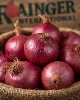 Premium Red Onions – Nashik Maharashtra | per KG | Rainger International